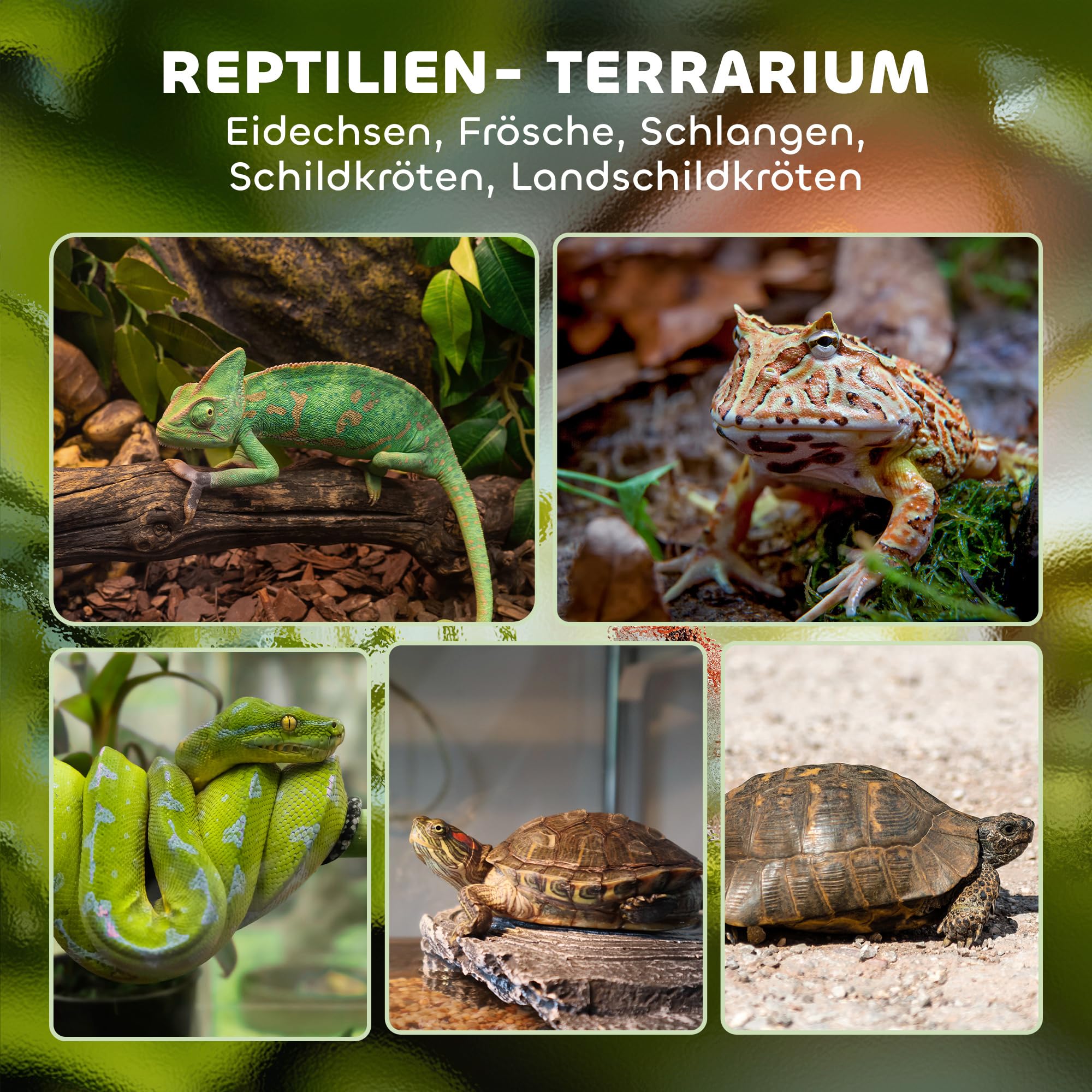 PawHut Terrarium dla gadów, szklane sterrarium 34 l, pudełko na karmienie gadów, z przednią wentylacją, odporne na wybicie zamknięcie obrotowe dla pająków, czarne, 50 x 30 x 25 cm