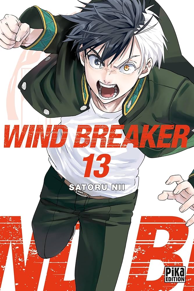 Wind Breaker T13 : Satoru, Nii: Amazon.ca: Books
