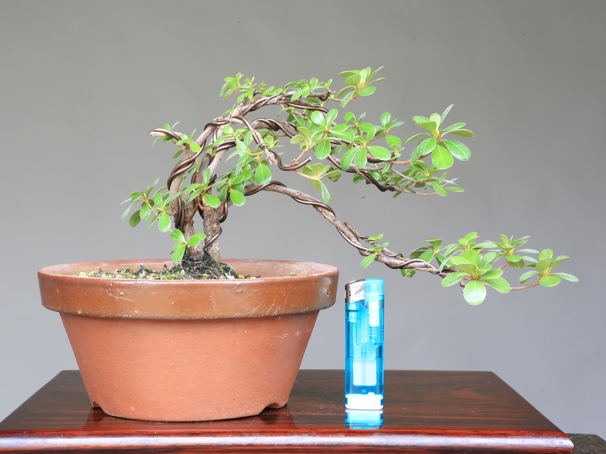 ムンク、『栗の木の下で』、希少な画集より、新品高級額・額装付 ムンク、『栗の木の下で』、希少な画集より、新品高級額・額装付