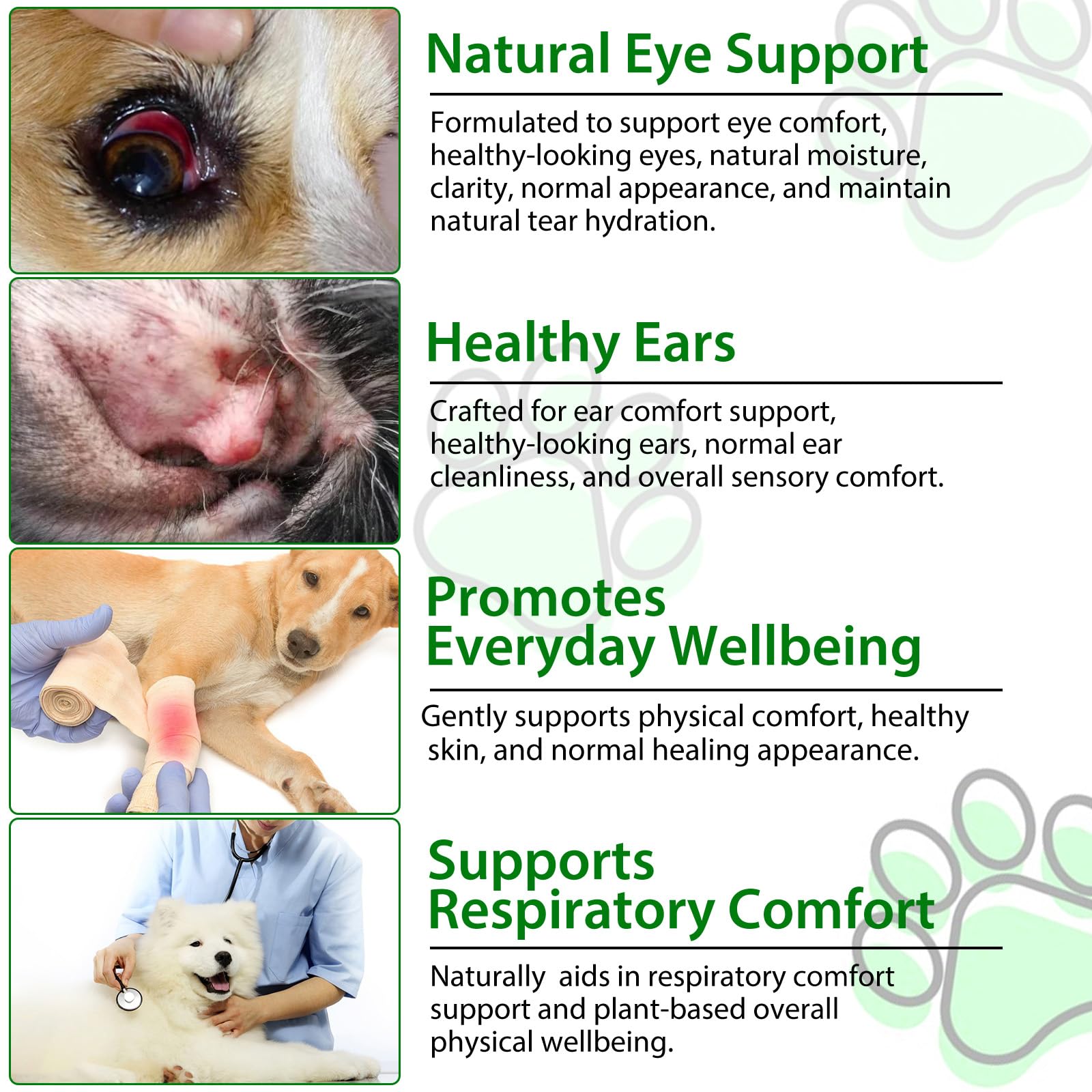 Antibiotiques pour Chiens pour Infections, Soutien Aux Défenses Immunitaires Et Aux Allergies des Chiens, Soulagement des Démangeaisons, 60ml