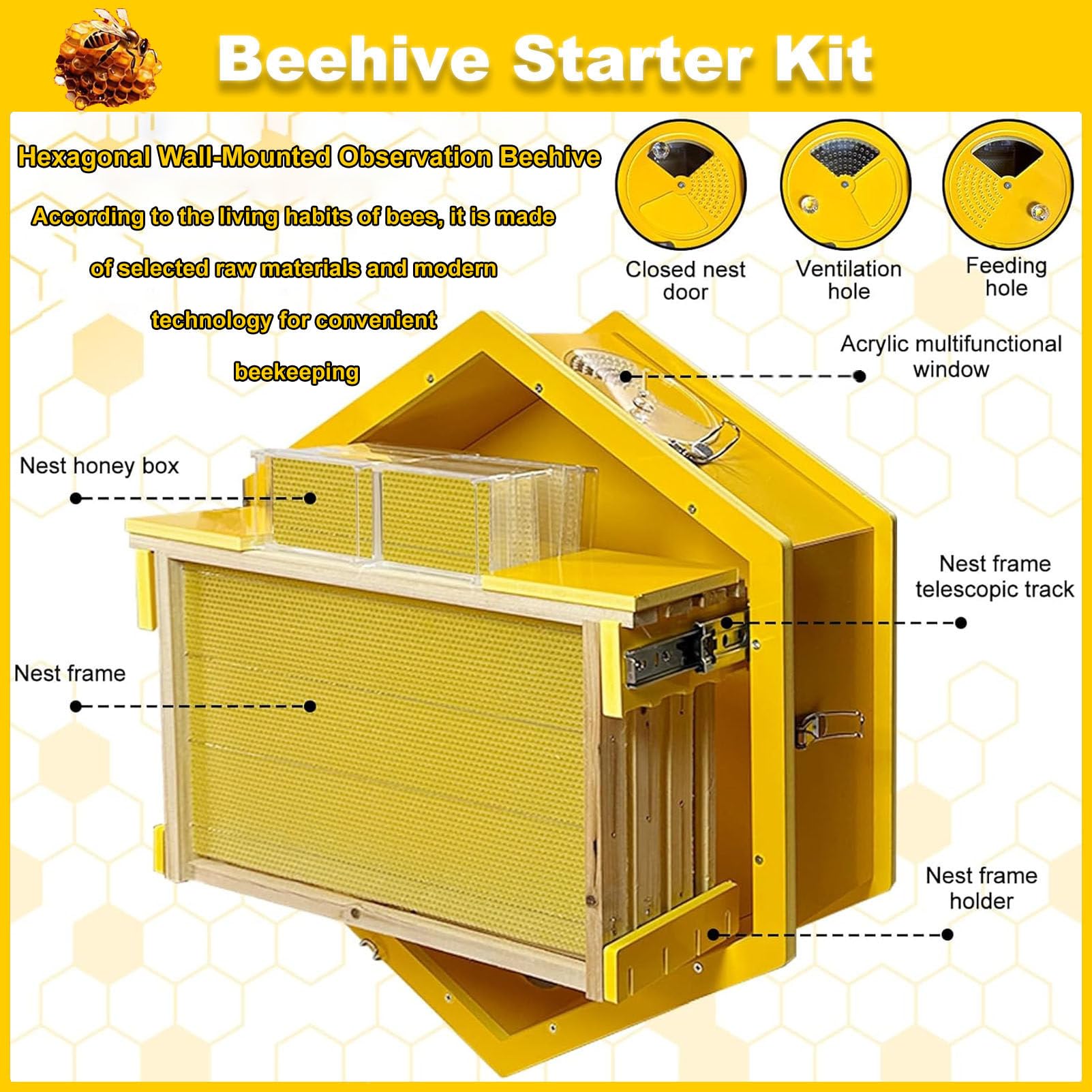 Caja para Colmena con Ventanas de observación, Kit Completo para Principiantes, para cría de Abejas en Interiores, fácil observación, con 3 Marcos y Caja de Miel de 6 panales.