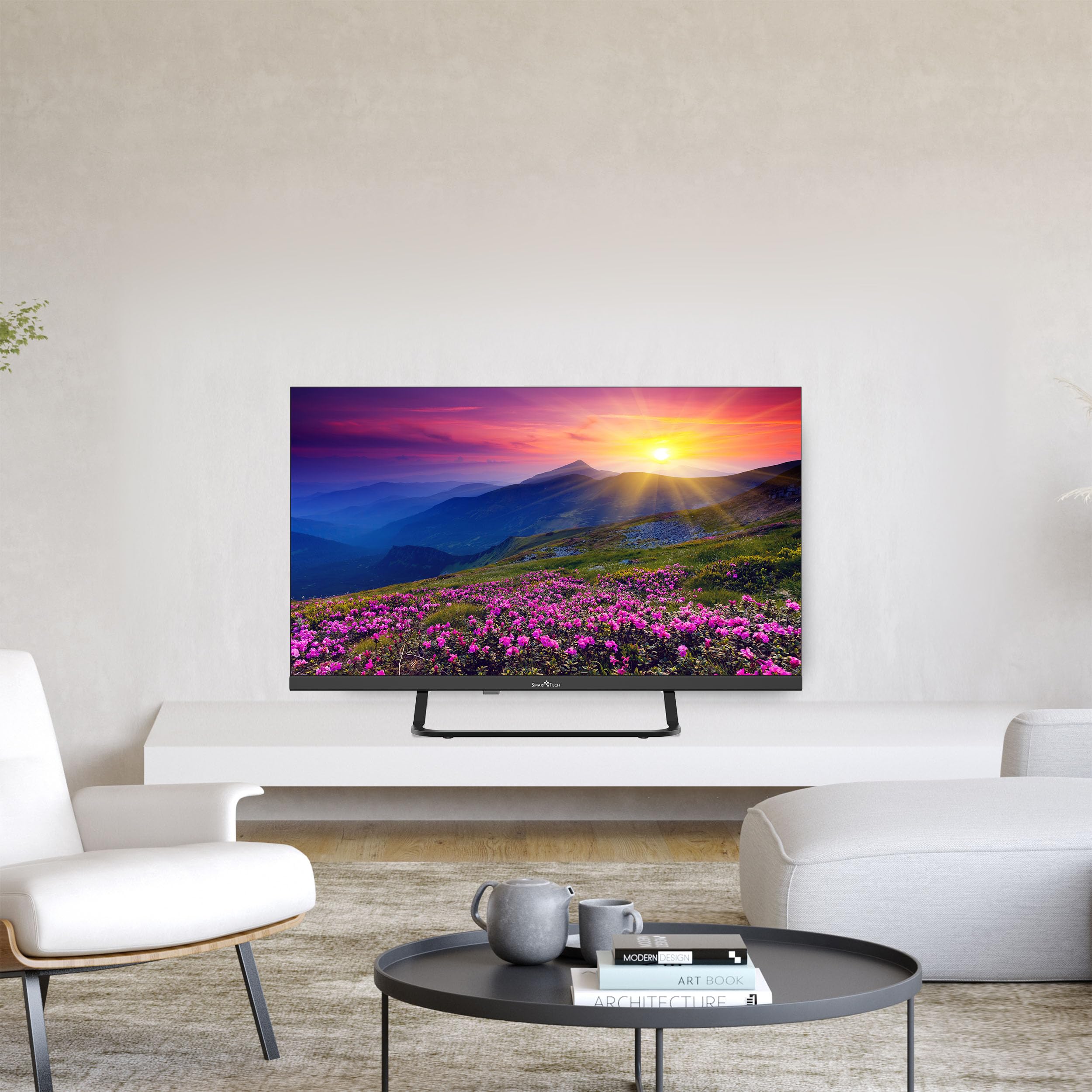 Smart Tech TV LED HD 24' (60 cm) 24HV02V Smart TV VIDAA - Molotov, Netflix, Prime Video, Disney+, Youtube, Plex - 3xHDMI - 2xUSB - Mode Hotel (24")