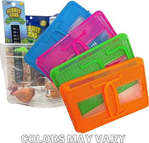 Needzo Hermit Crab Habitat and Food Kit, Starter Pack for Large Travel Cage with Lid, Food, Coral, Treats, and Thermometer, Colors May Vary, 7pc, 12 inches