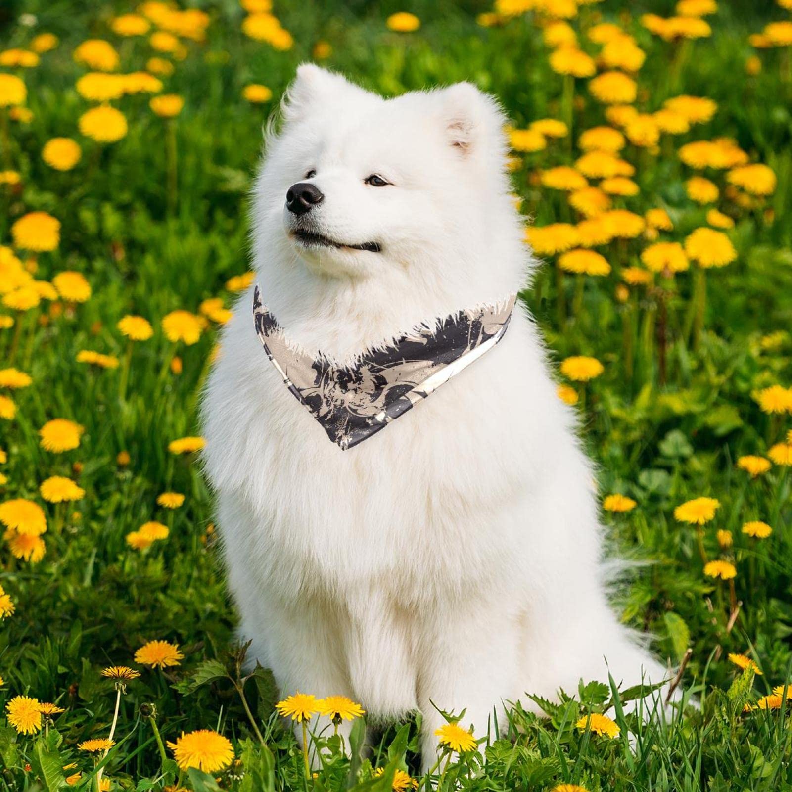 Bandana Per Cani Vintage Skull Mexico – 2 Pezzi Leggeri E Traspiranti, Regolabili Per Cani Piccoli, Medi E Gatti