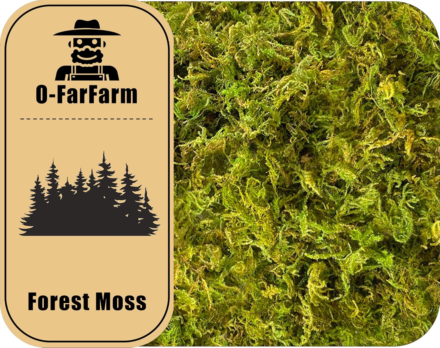 OFarFarm Dried Forest Moss for Plants 5.3oz / 3qt, Green Orchid Sphagnum Moss