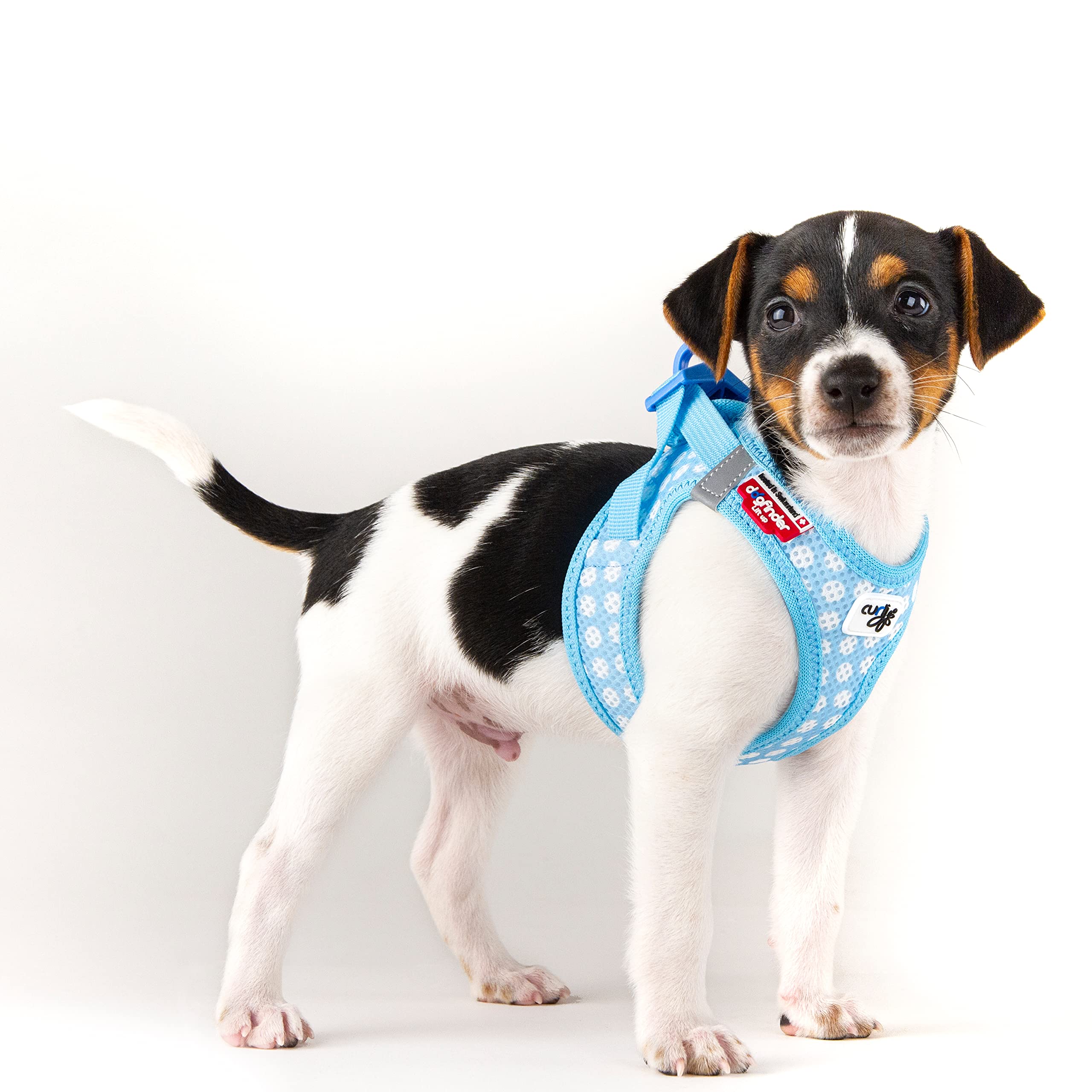 Vest Harness curli Clasp Air-Mesh Skyblue-Circles 3XS & Leash M - Image 2