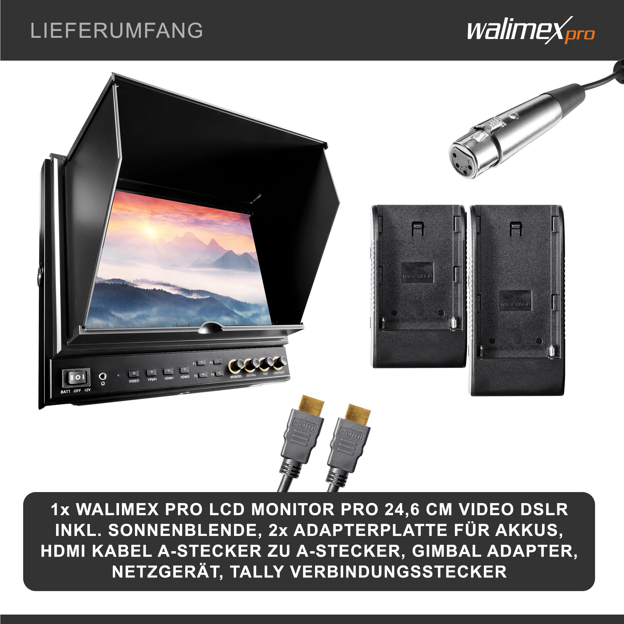 Walimex pro LCD Monitor Director II 9,7' Professioneller Video Screen 24,6 cm mit 1920 x 1080 Pixel, Full HD, 8-Fach Zoom, HDMI Out - für Video DSLR Kamera