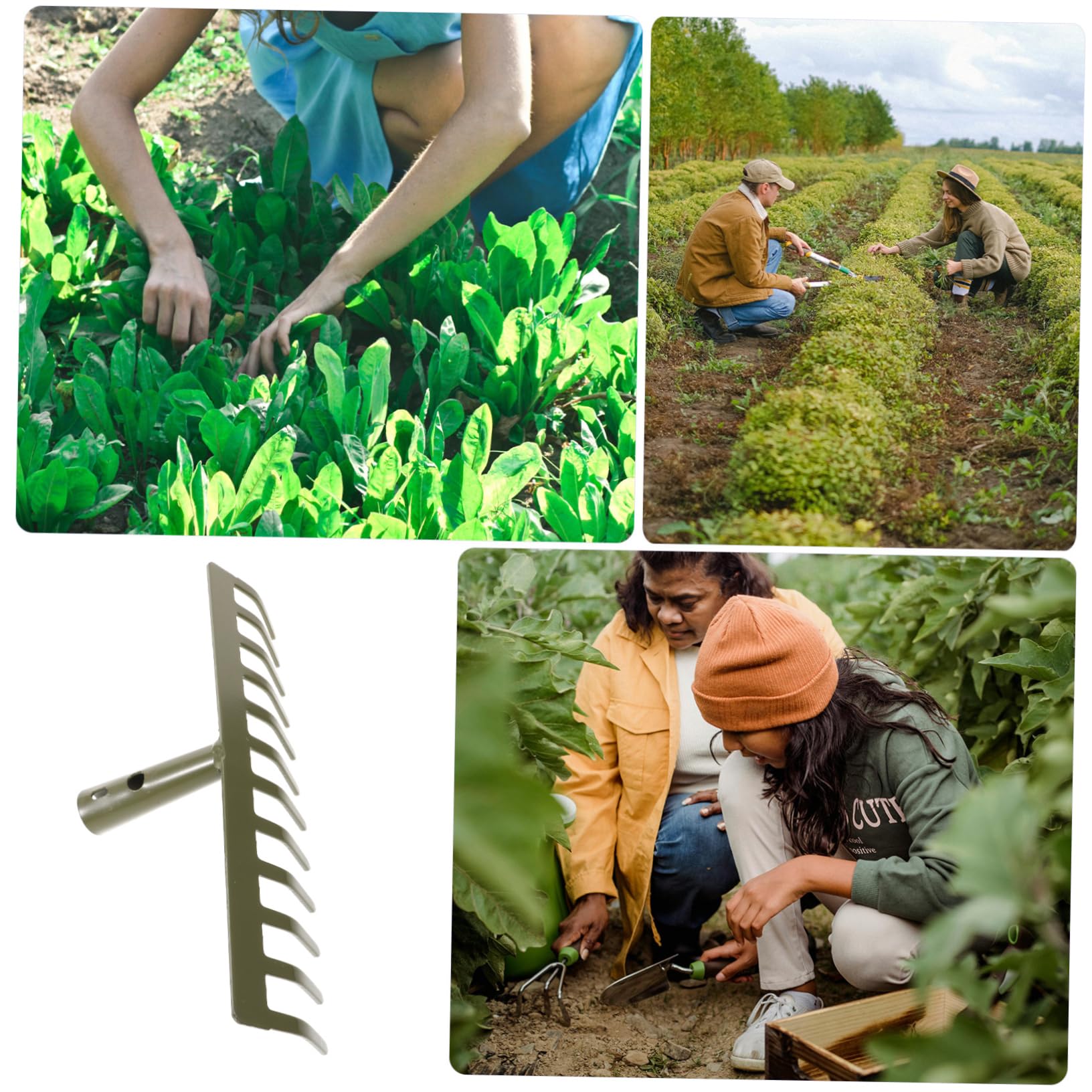 Lot De 4 Râteaux De Jardin en Acier Carbone Vert Petits Outils pour Feuilles pour Le Désherbage