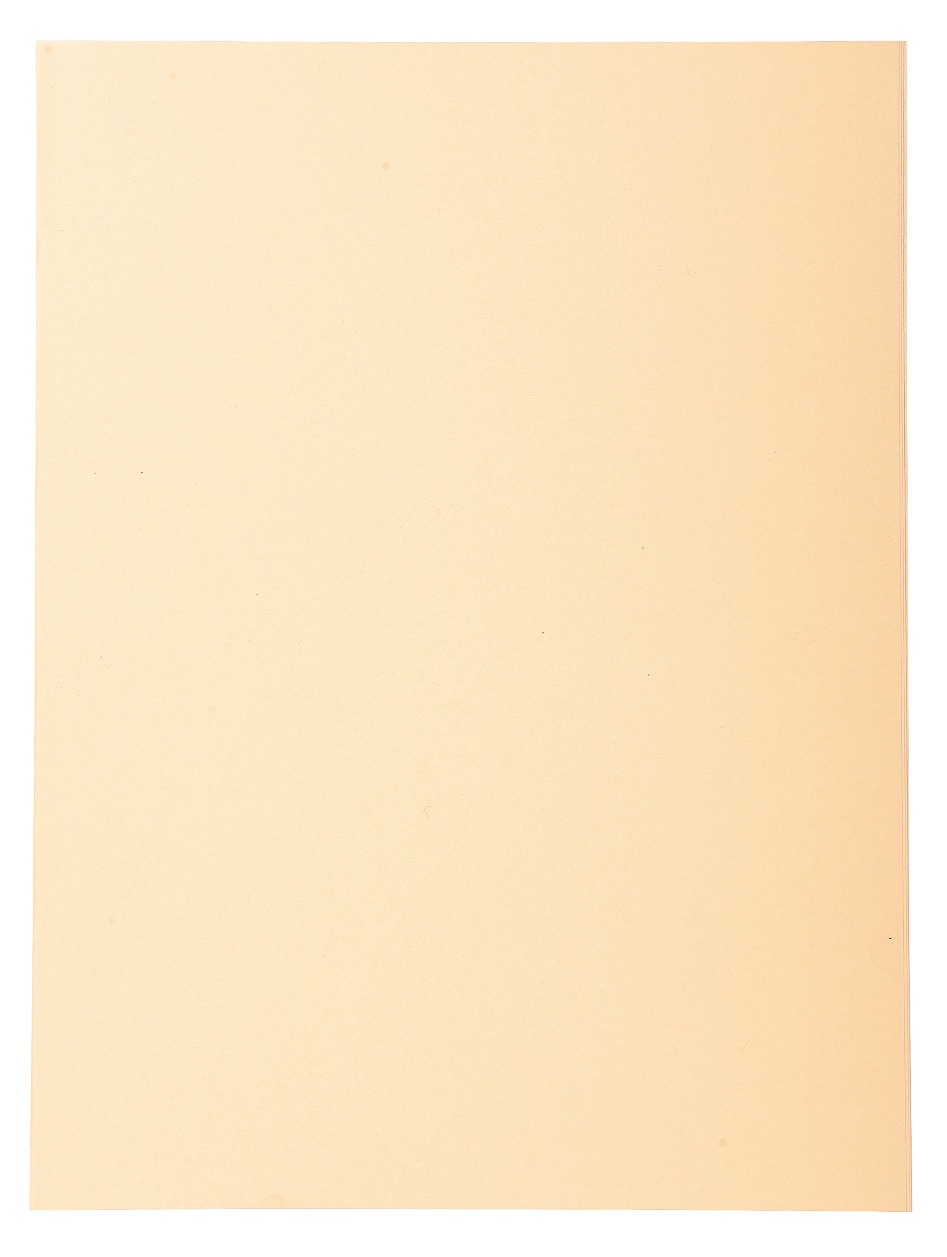 Exacompta 420002E Cartelle Semplici, 24x32 cm, Crema