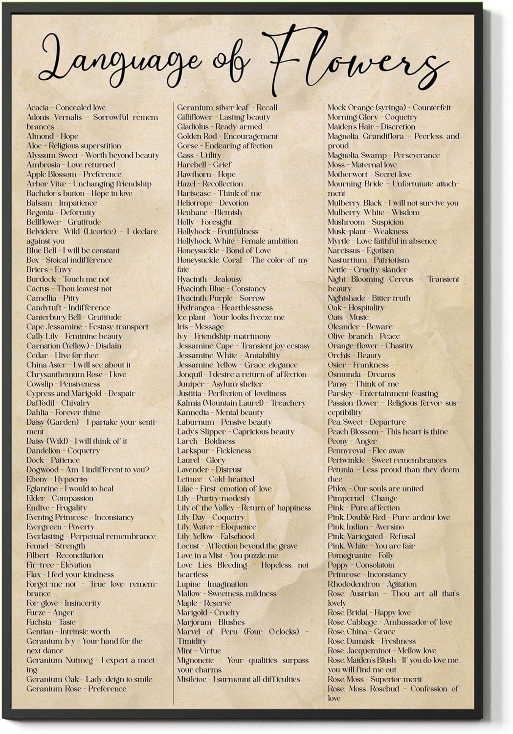 Language Of Flowers List Of Flower Names Vintage Floral