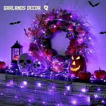 Amazon.com : JMEXSUSS 2 Pack Halloween Fairy Lights Battery