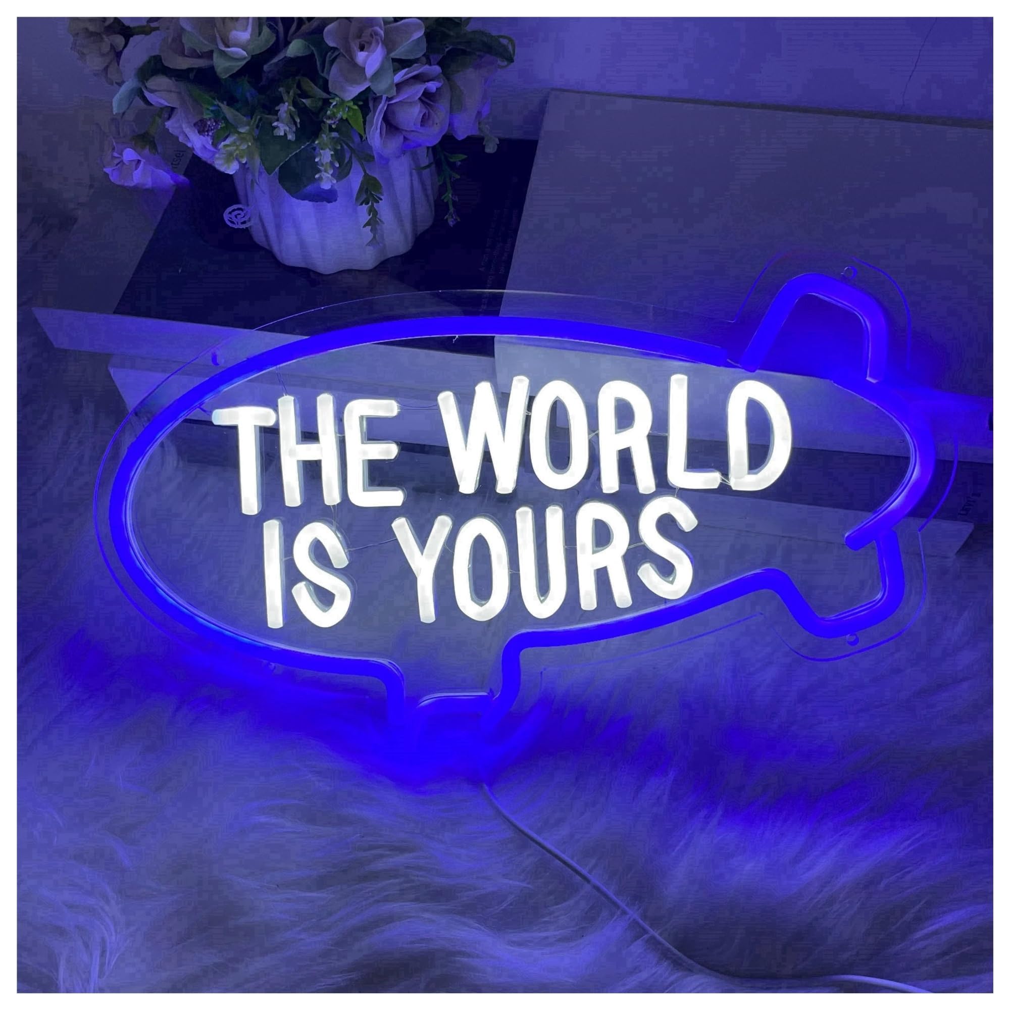 Lemst B Signs Lamp The World Is Yours Neon Sign Light Dimmable For Home Room Edroom Kids Room Irthday Decor Us Powered Lamp 45Cmx28cm(B)
