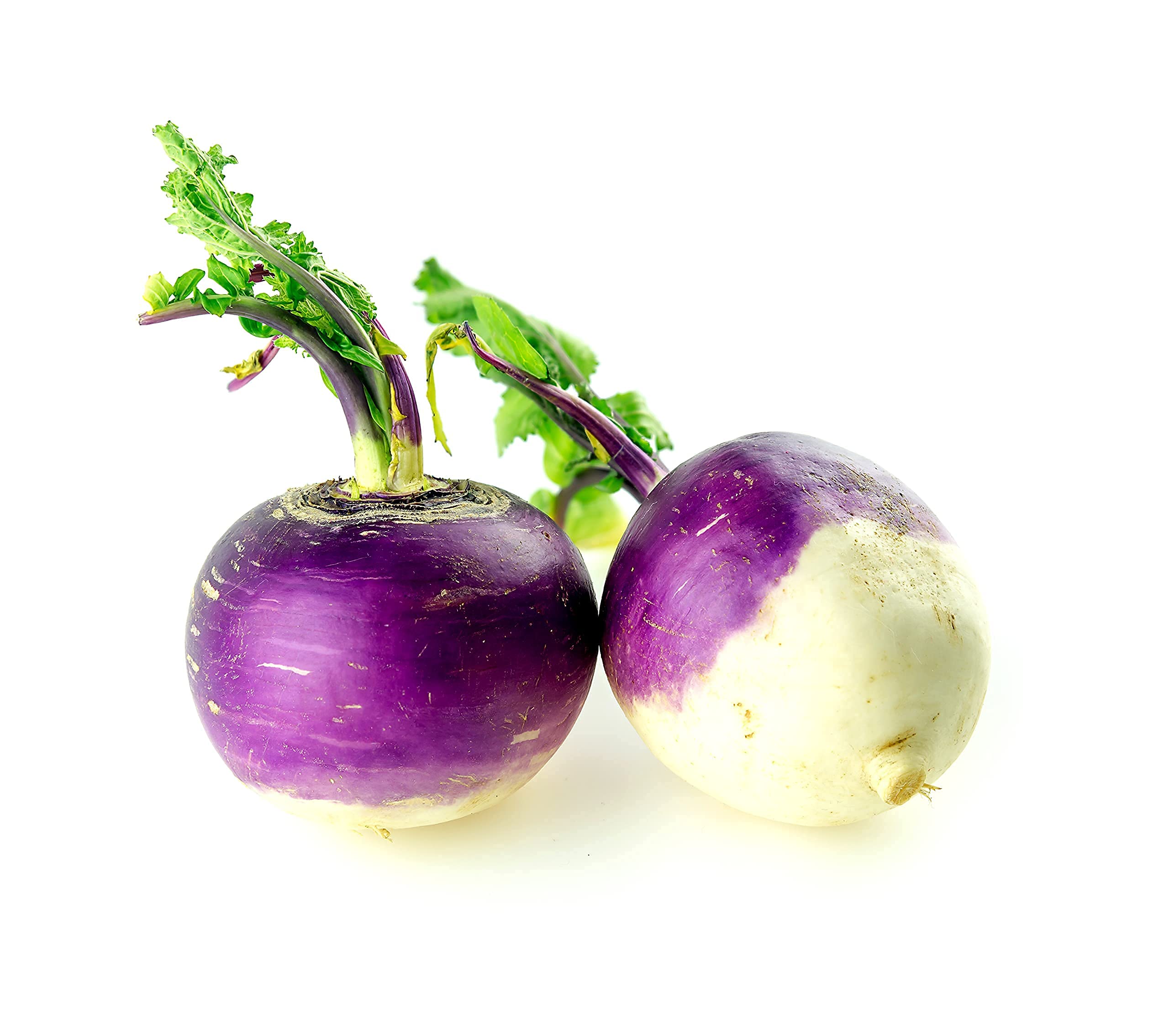 Turnip Seeds, 200+ Purple Top White Globe, Heirloom, Non GMO Seeds, Brassica rapa