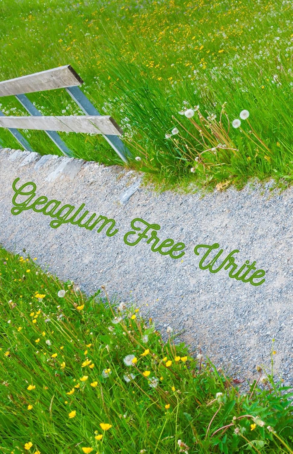 Geaglum Free Write: June 1996