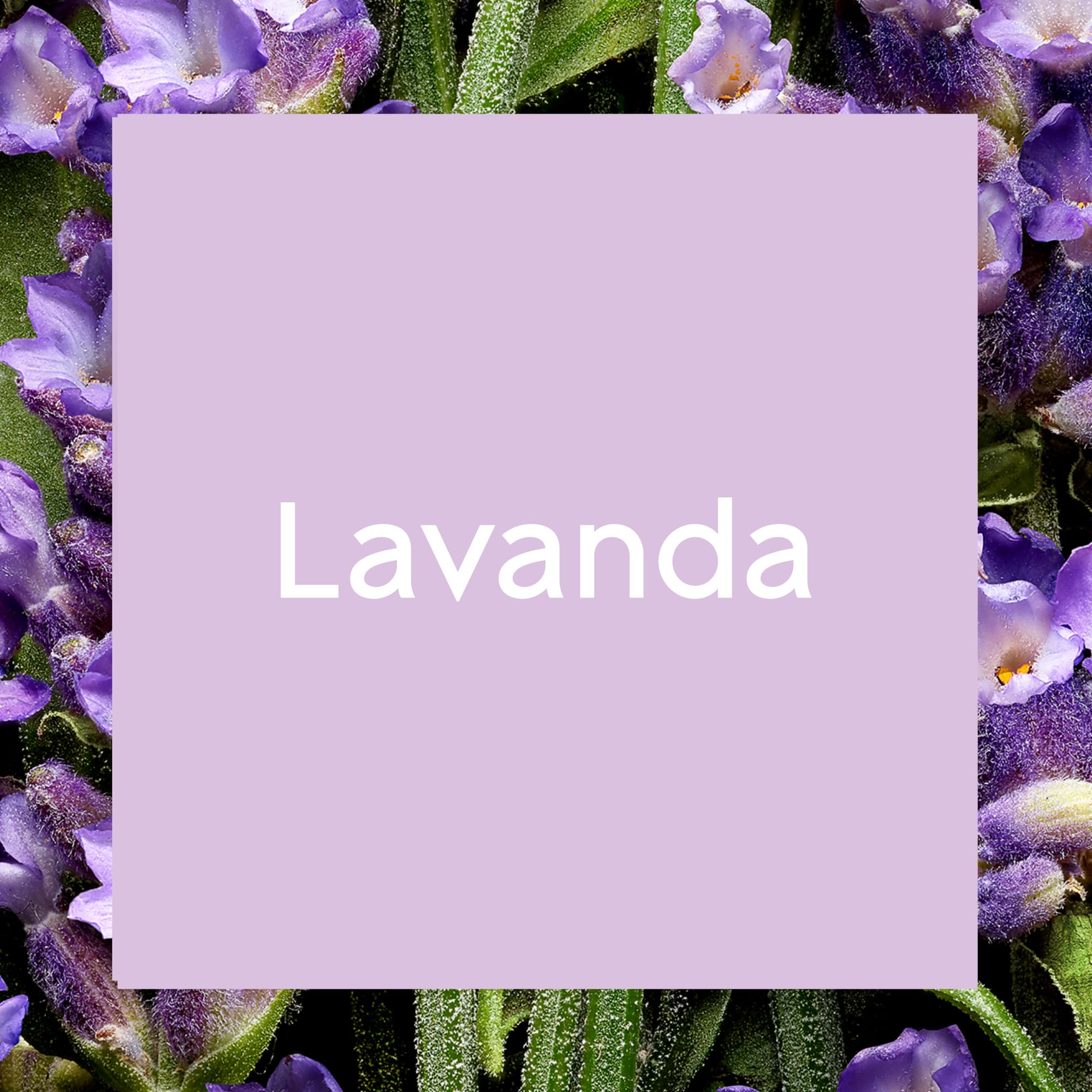 Glade Ambientador Automático Lavanda, con Aceites Esenciales, Dura Hasta 60 Días, 2 Recambios