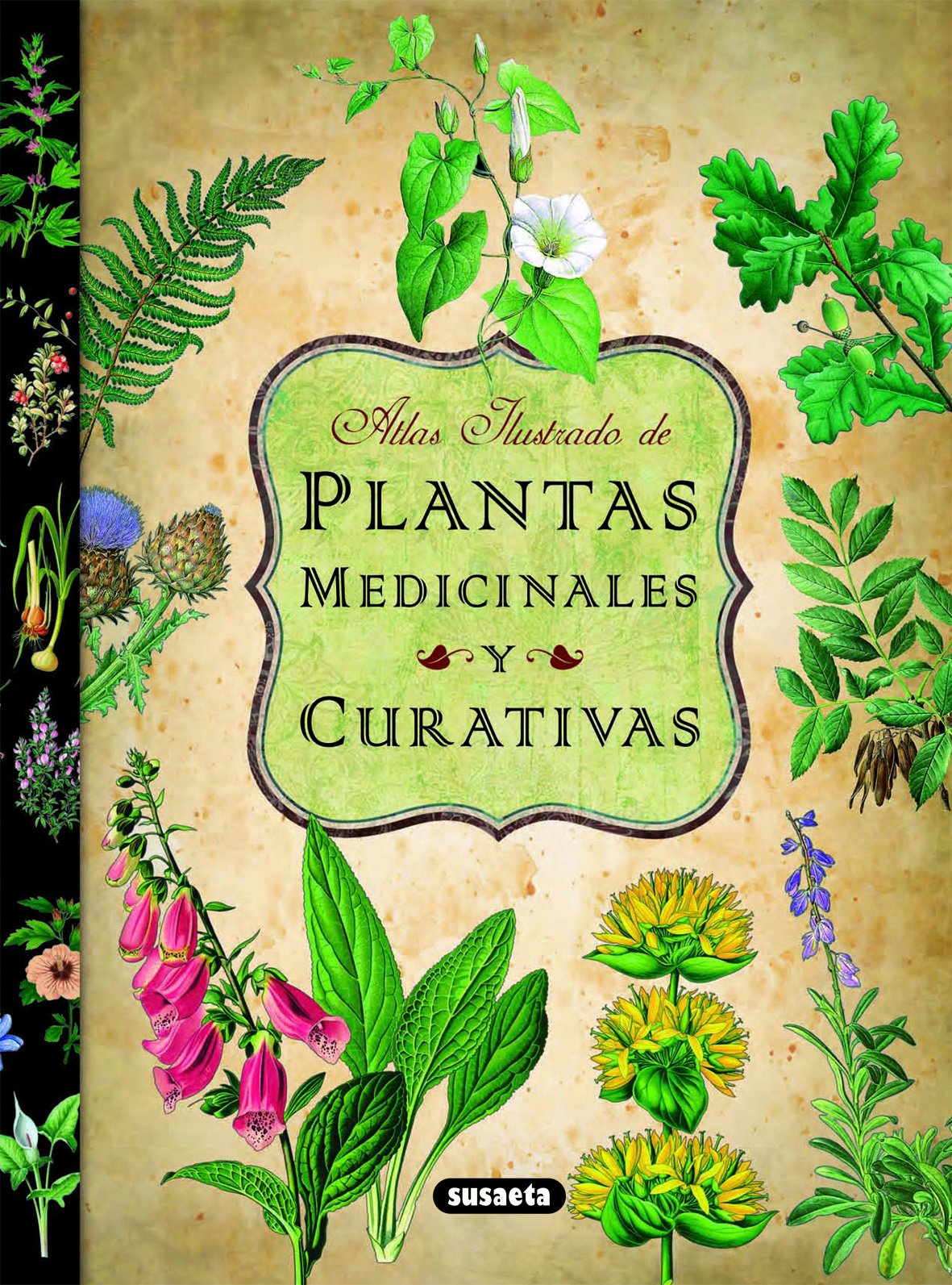 Plantas Medicinales Y Curativas (Atlas Ilustrado) (Spanish Edition) Kindle Edition