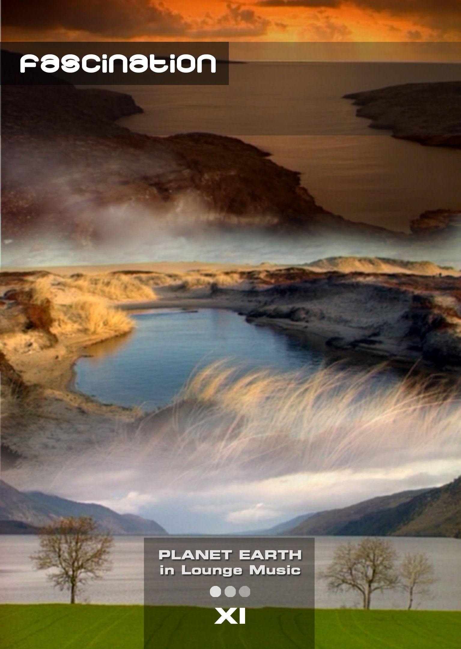 Planet Earth Vol 11 Fascination DVD con imágenes exclusivas de fauna silvestre