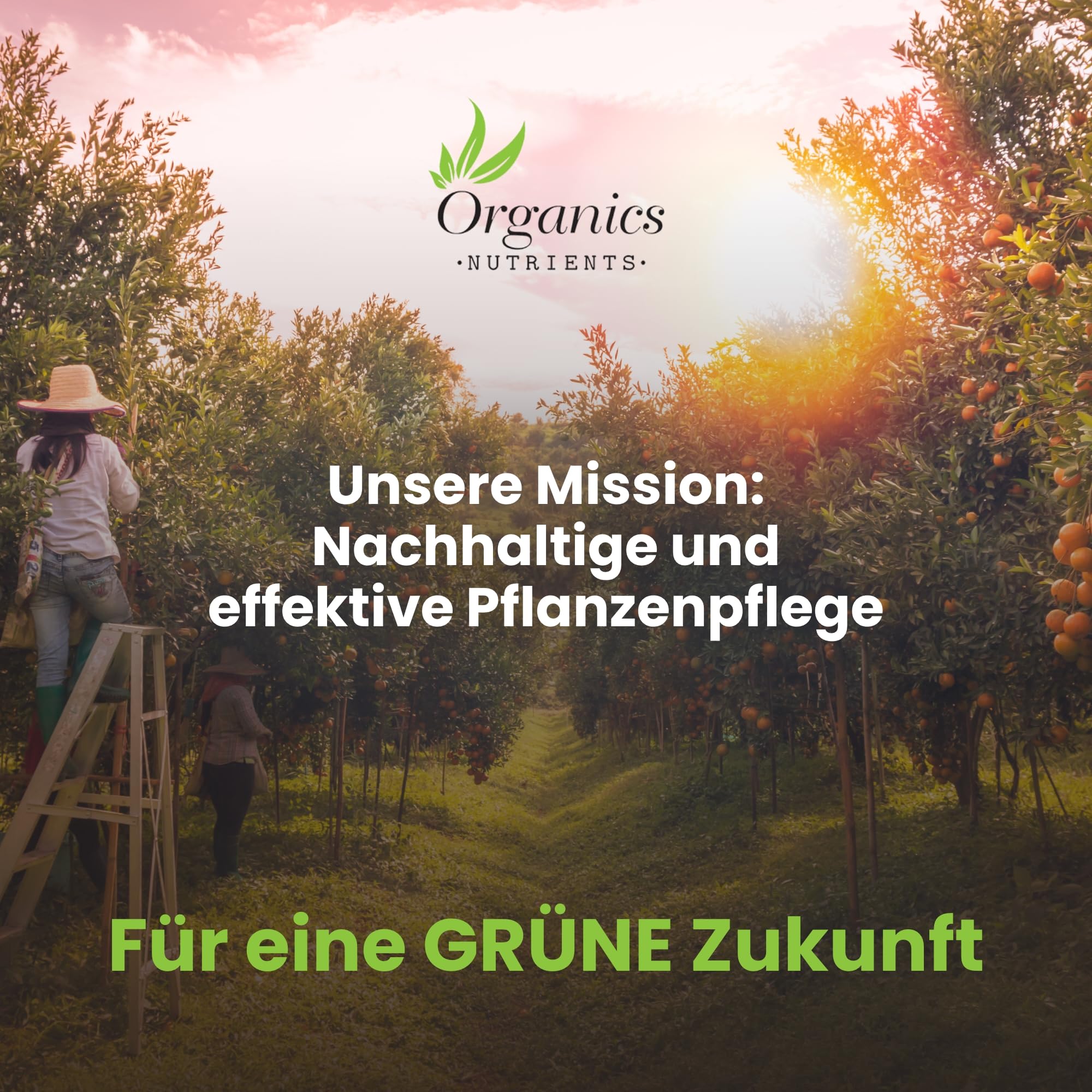 Siliziumpulver Si Star – Biologisches Pulver zur Stärkung von Pflanzen mit Silizium, Kalzium und Nährstoffen, für gesundes Wachstum und reichhaltige Ernte
