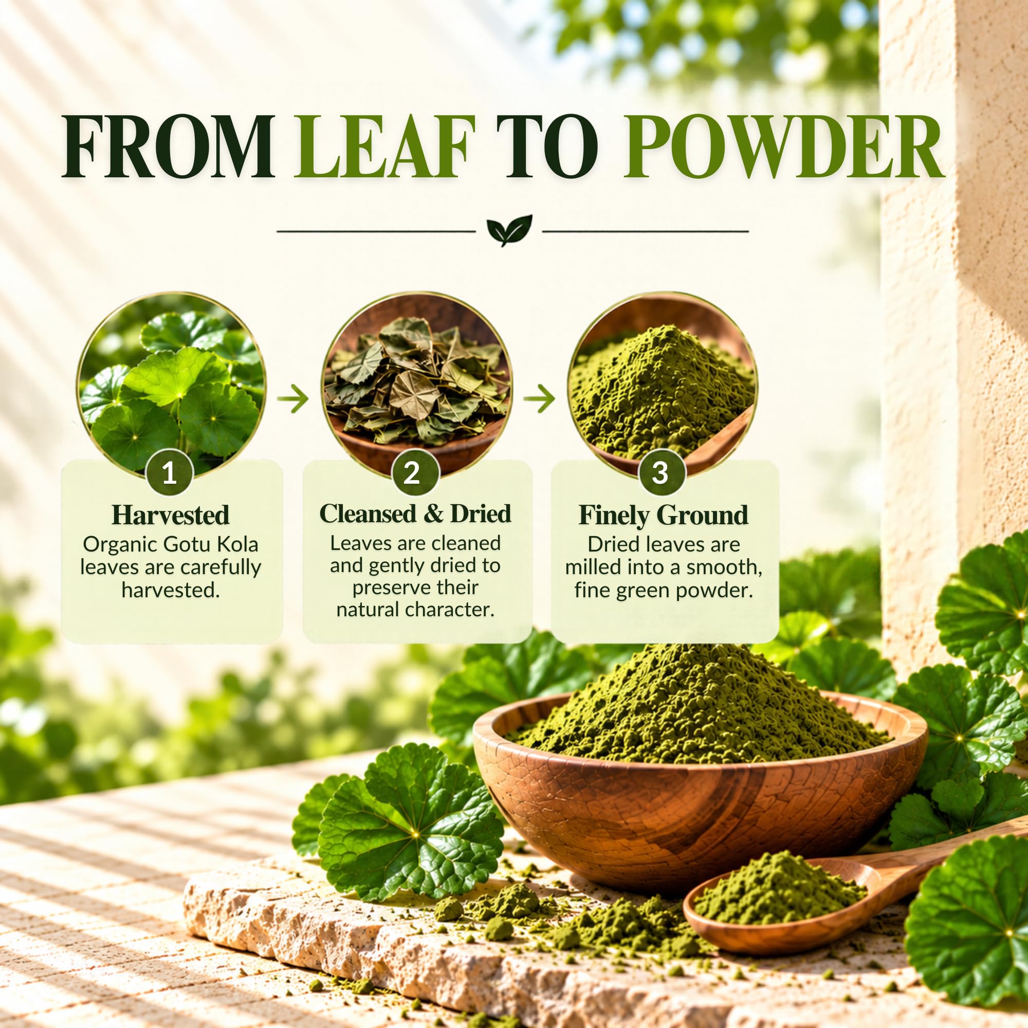 Vitamatic USDA Organic Gotu Kola Powder – 1 lb (16 oz) — Amazon image 6