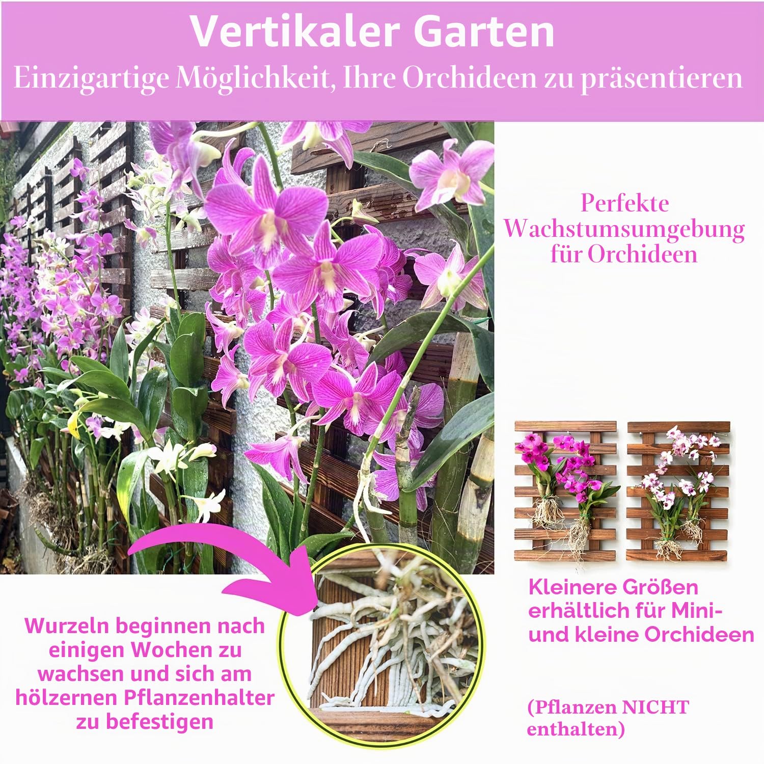 ShopLaLa Wand-Pflanzenhalter – Hängende Pflanzgefäße für drinnen und draußen
