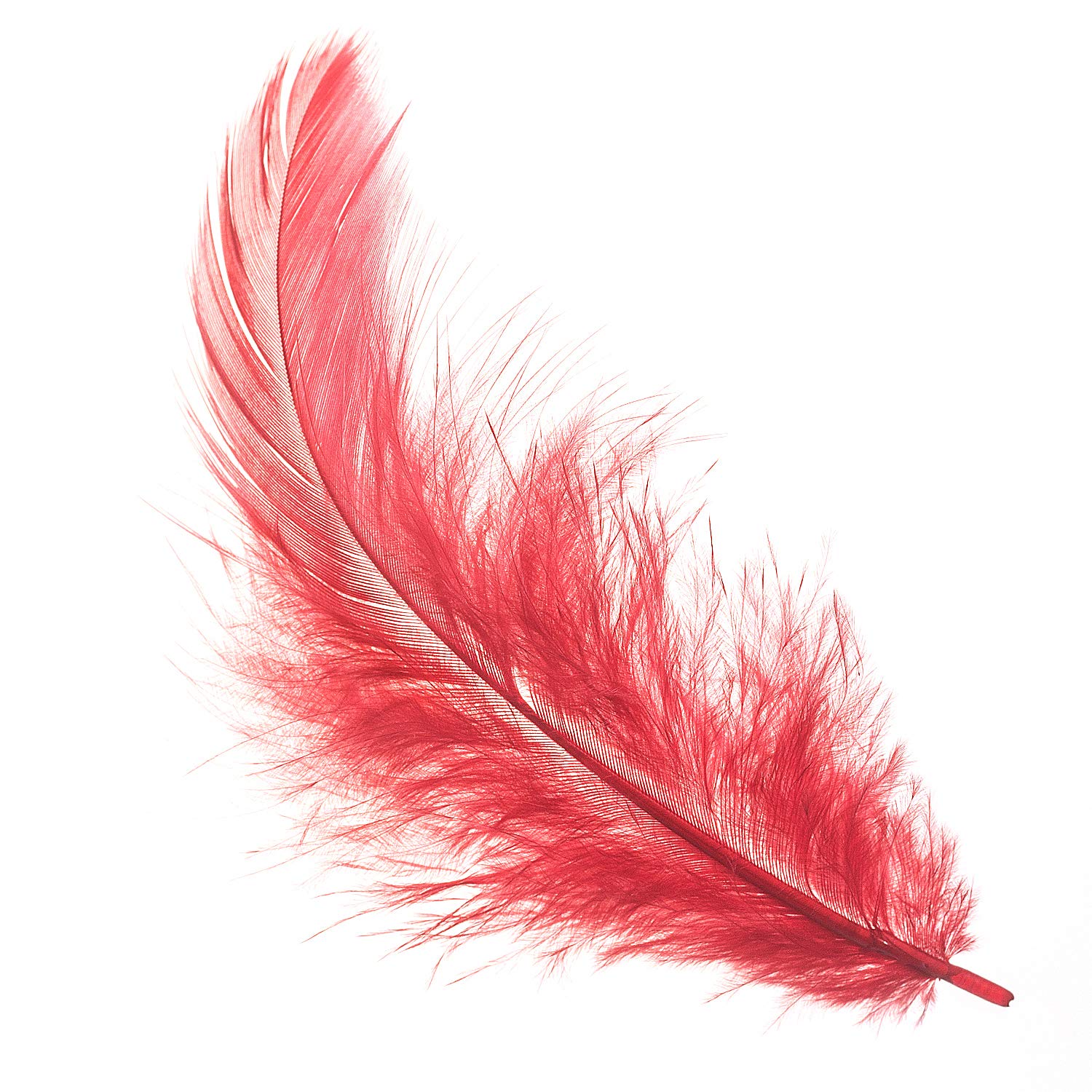 Amazon | 装飾 ディスプレイ【カマタック】装飾用の羽根 募金羽根