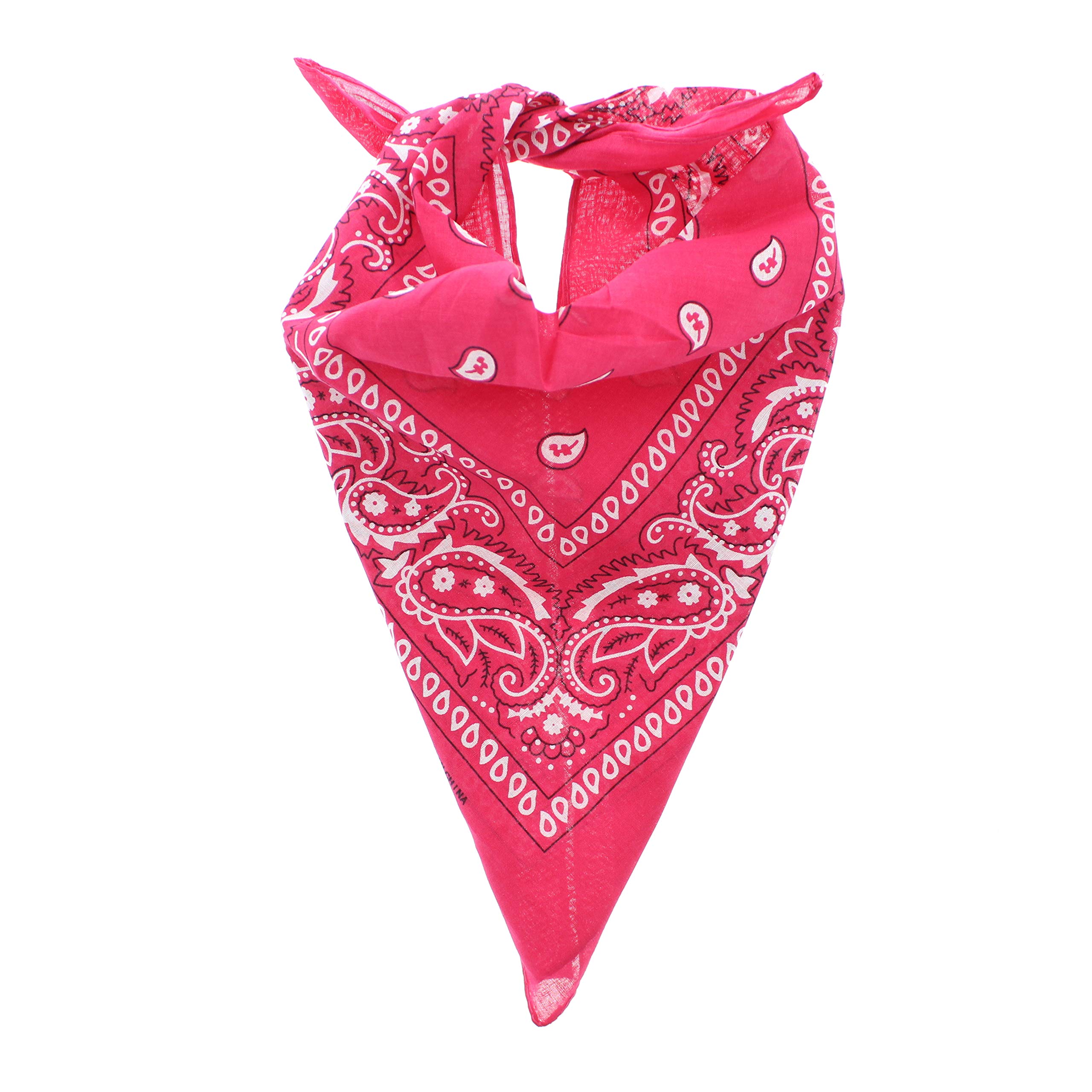 Zac's Alter Ego Retro Vintage Style Cowboy Paisley Bandana/Neckerchief/Durag