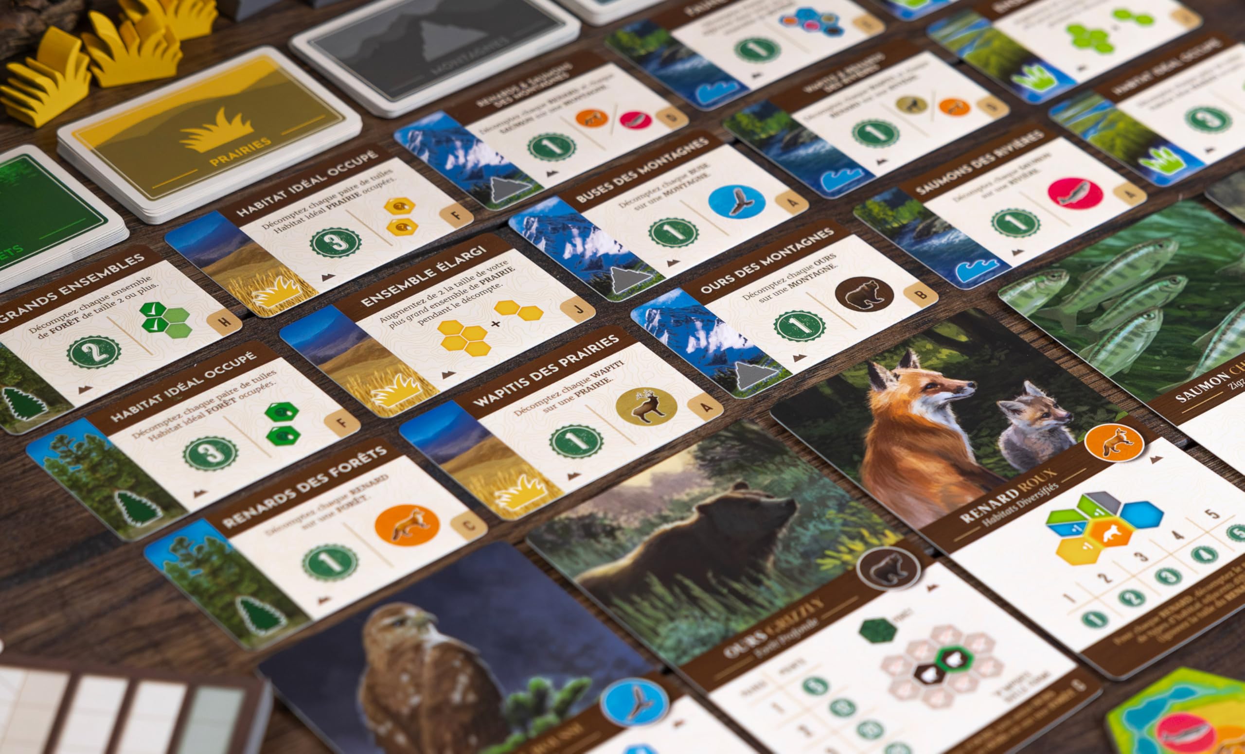 Lucky Duck Games | CASCADIA Paysages | Extension Jeu de Société | Jeu de Stratégie pour Enfants dès 10 Ans | Nouvelles Cartes Décomptes & Tuiles Habitat | 1 à 6 Joueurs | 30 à 45 min | En Français | Nouvelles cartes de décompte et tuiles habitat inédites