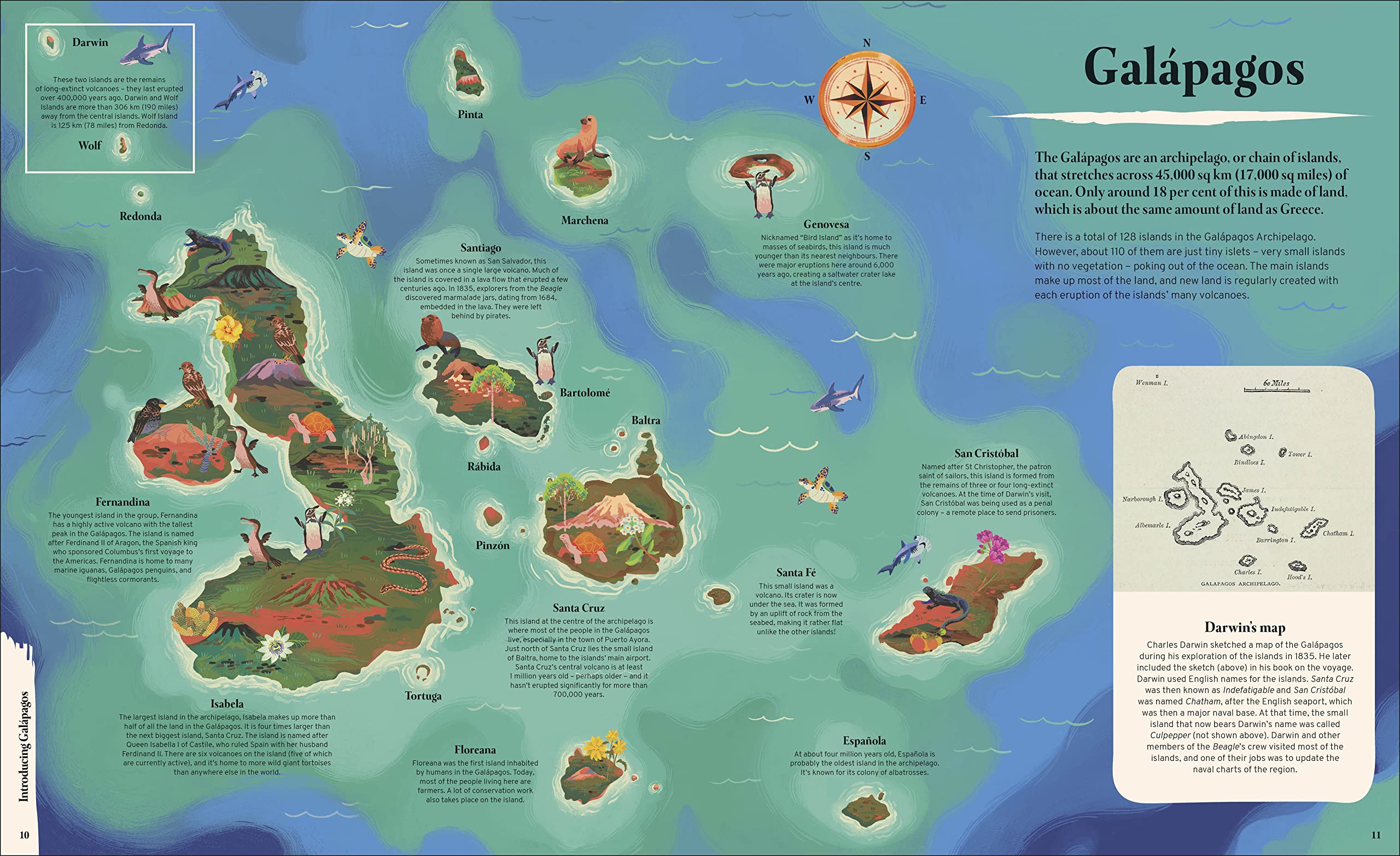 Galapagos: A Unique World of Natural Wonders