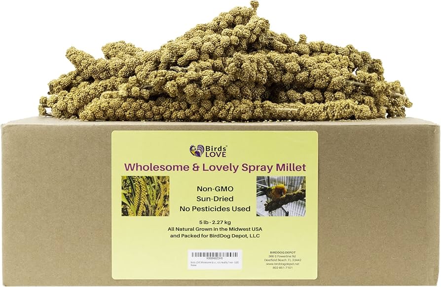 Is Millet Good for Parakeets? Easy Guide to Feeding Your Pet Birds