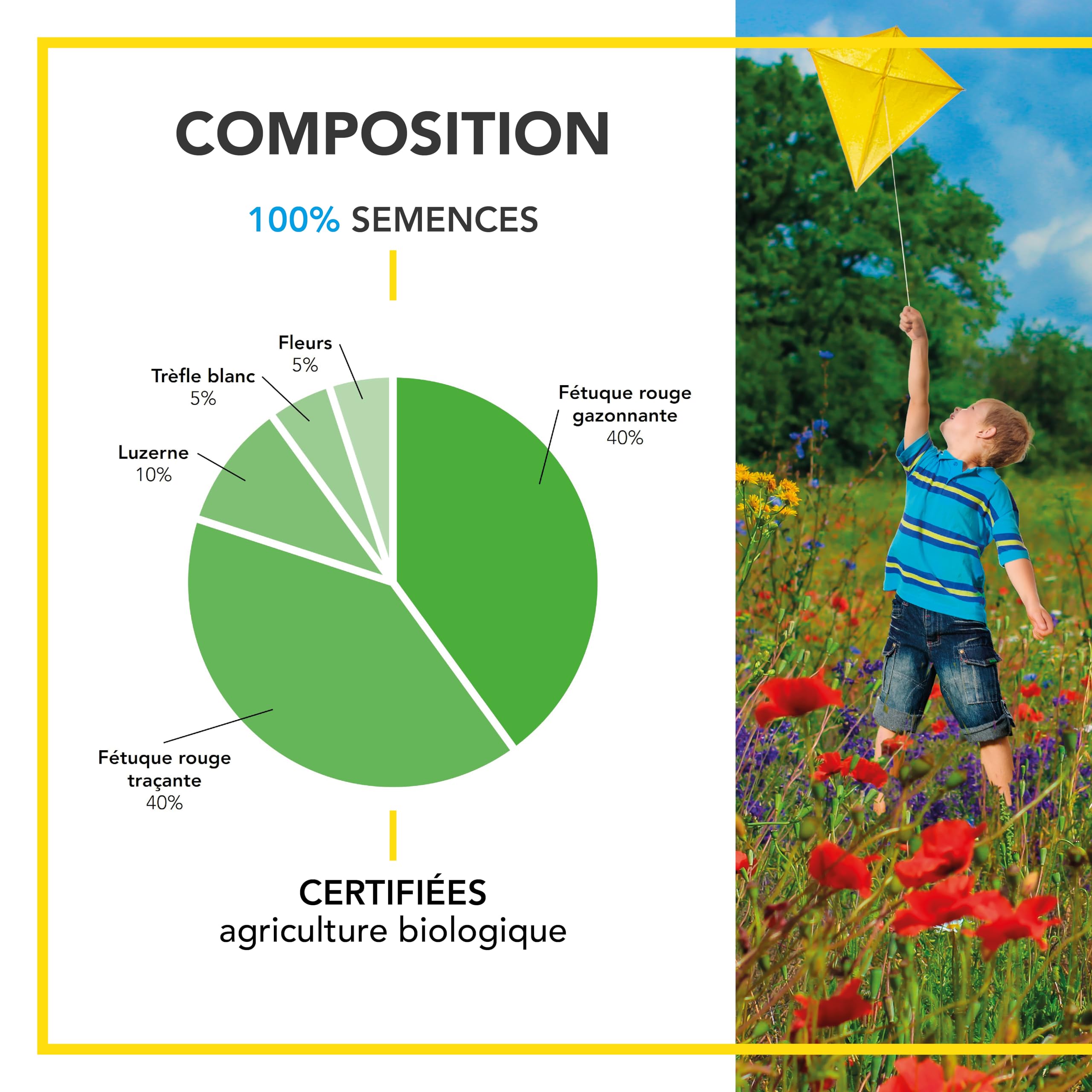 BARENBRUG - Prairie Vivace Biodiversifiée BIO - Facile à Installer - 3KG | Favorise la Biodiversité - Peu d'Entretien - Refuge Naturel pour la Faune - Fabriqué en France