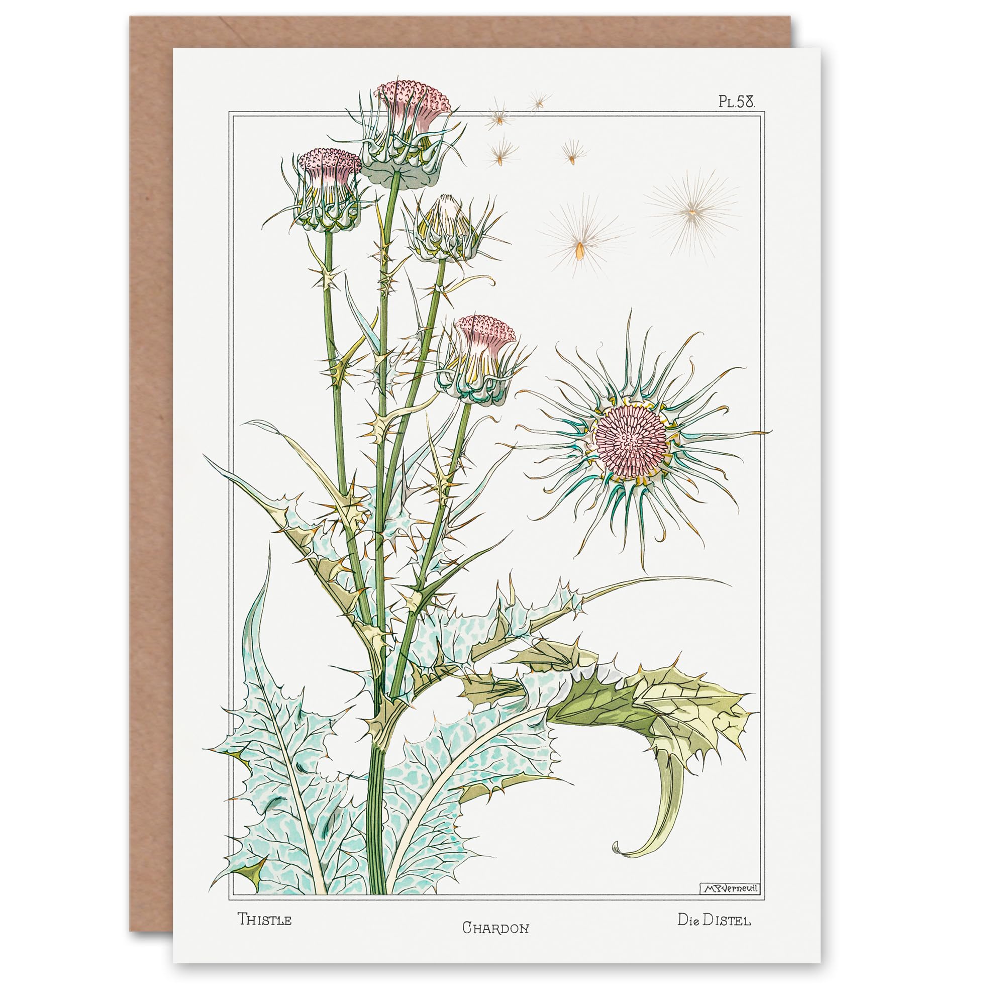Artery8 Maurice Pillard Verneuil Art Card Thistle Flower Plant