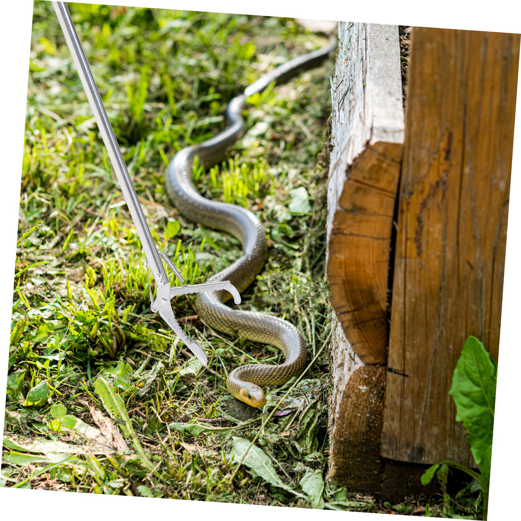 ABOOFAN Pinza Pieghevole Acciaio Inossidabile Resistente per Serpenti in Funzione Compatta Giardino e Lavoro in Montagna
