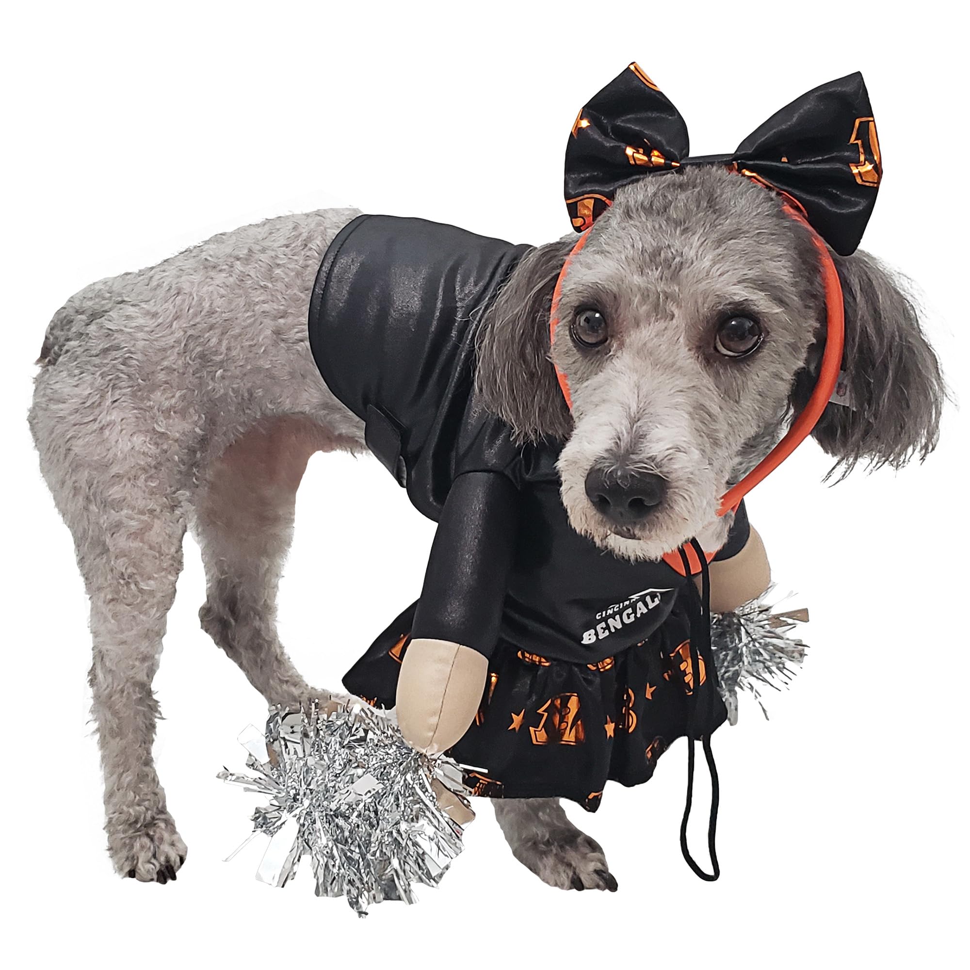 NFL Cincinnati Bengals Officially Licensed Cheer Dog Costume by MODERN HERO Includes Dress with Faux Stuffed arms and Tinsel pom-poms and Satin Bow Headband, Size XXL