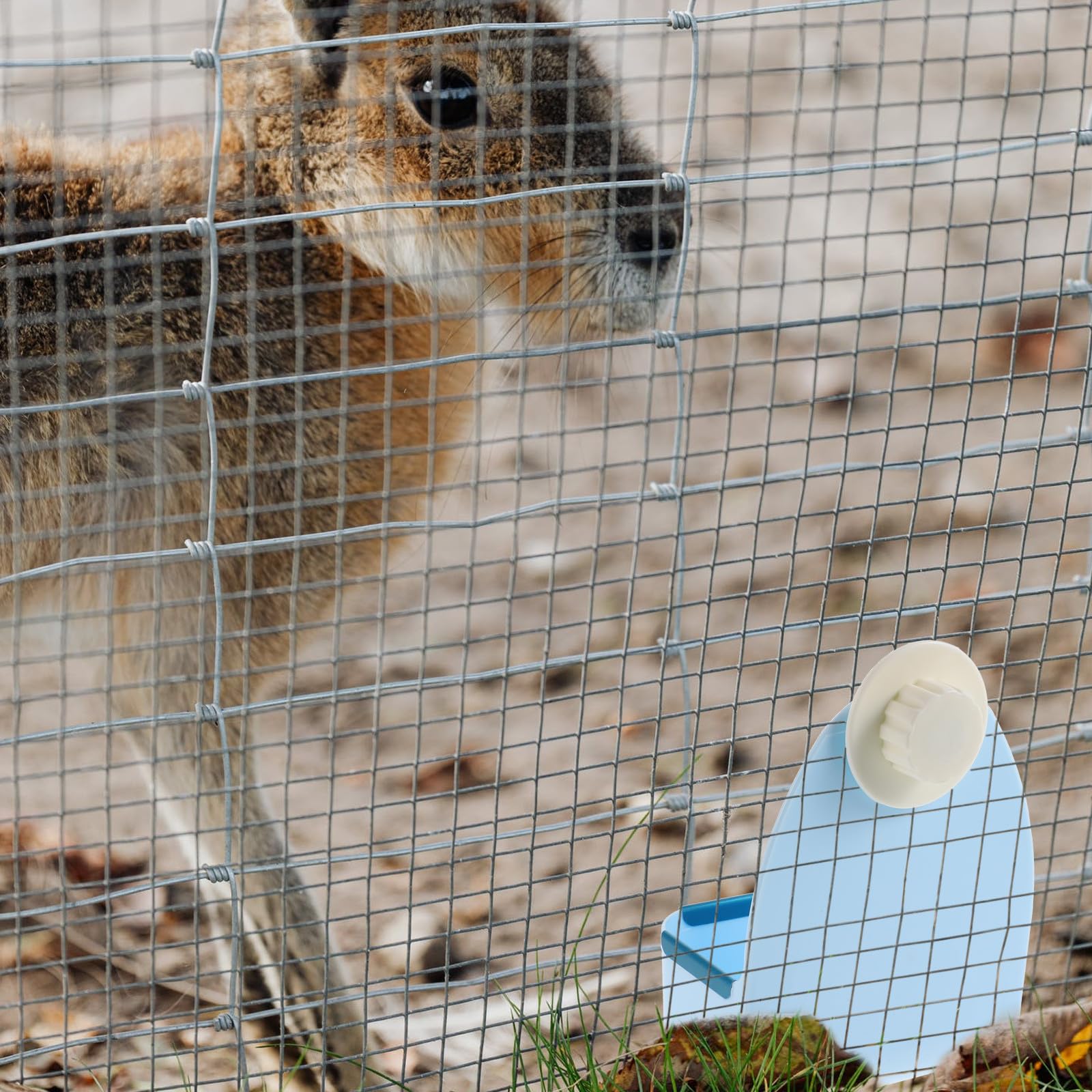 Ciieeo Gamelle Suspendue pour Petits Animaux Bol Alimentaire Anti-Renversement en Plastique Bleu Compatible Lapins Cochons D’Inde et Hamsters Distributeur Nourriture Sécurisé pour