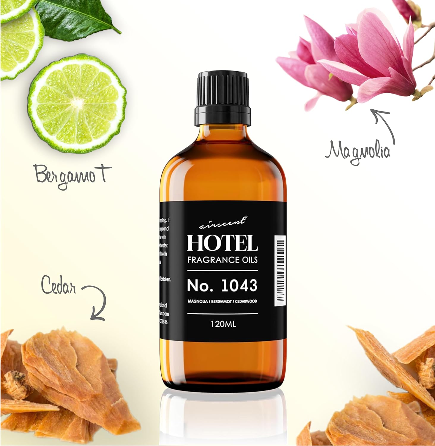 AirScent Magnolia Wood Hotel Diffuser No. 1043 - Magnolia Bergamot Cedarwood - Premium Fragrance Oil for Ultrasonic and Waterless Diffusers and Crafting - 120 mL, 4 fl oz Dropper Bottle