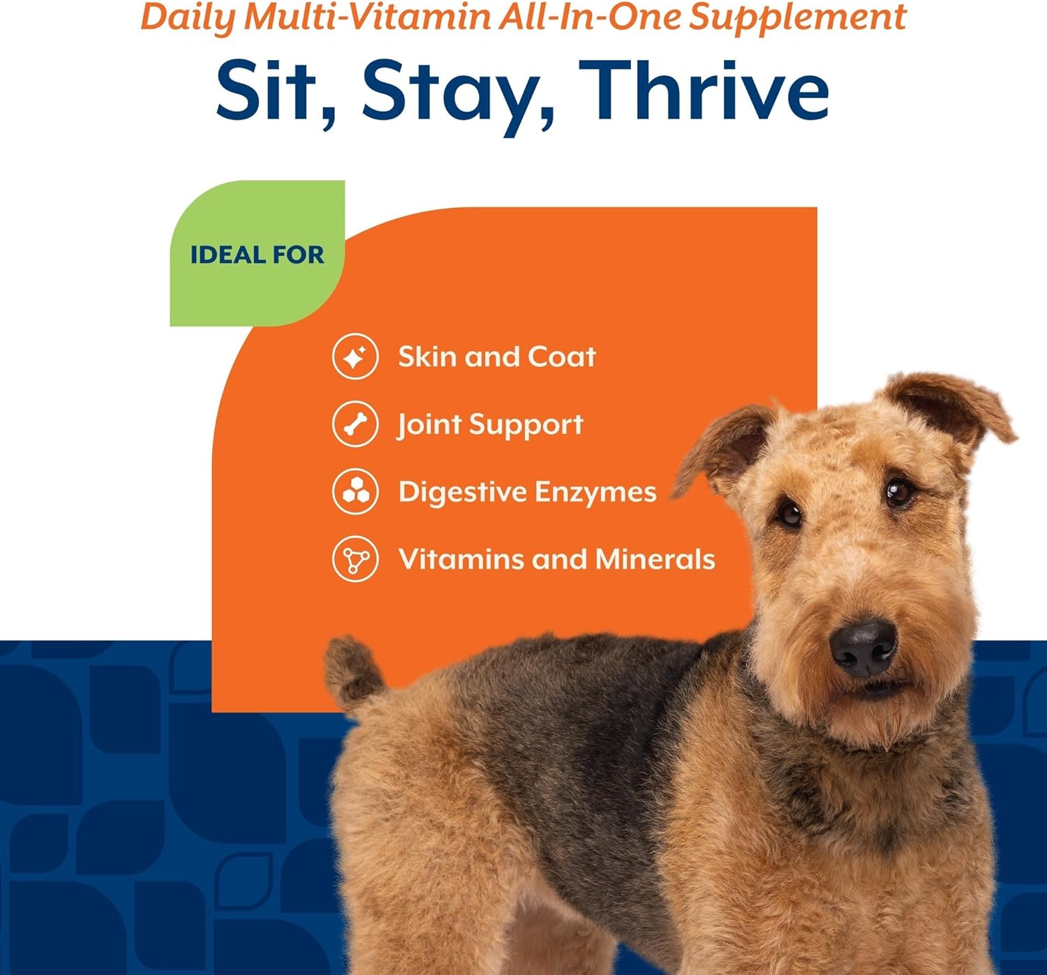NaturVet All-in-One Dog Supplement Joint Digestion Skin Coat – Wheat-Free 60 Soft Chews