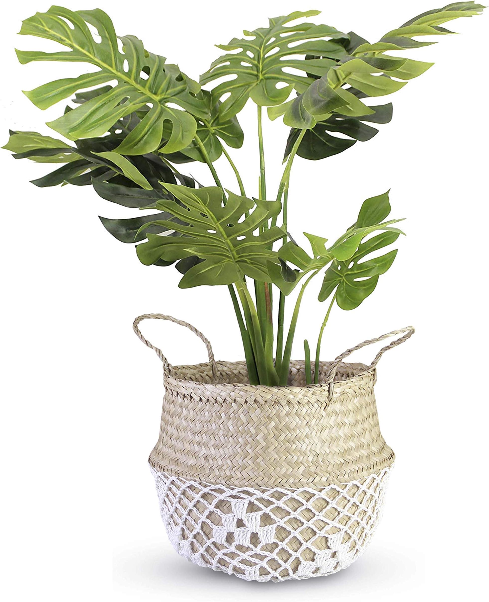 COCOBOO - White Net Pattern Seagrass Belly Basket, Storage, Laundry Basket, Handmade, Lightweight, Foldable (14 x 13 inches) Large
