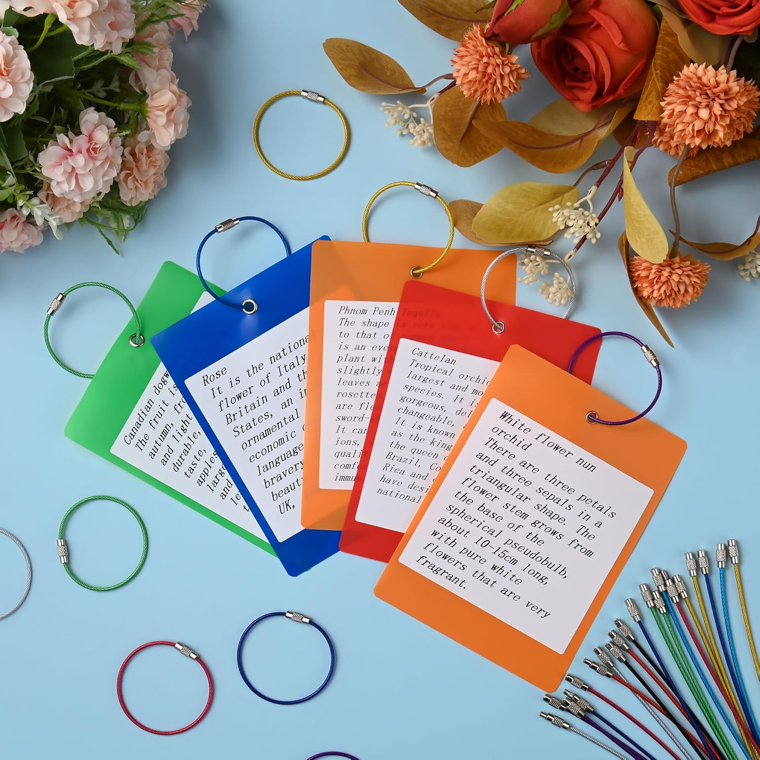 25-Pack Wire Keychain Cables – 16cm Nylon-Coated Stainless Steel Loops for Keys, Luggage Tags & More, Screw Lock, Silver - Image 3