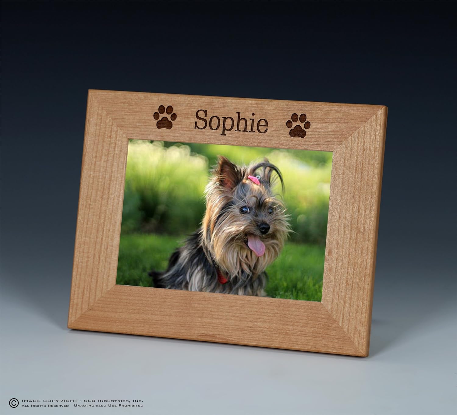 Dog Name Picture Frame, Pet Picture Frame Personalized