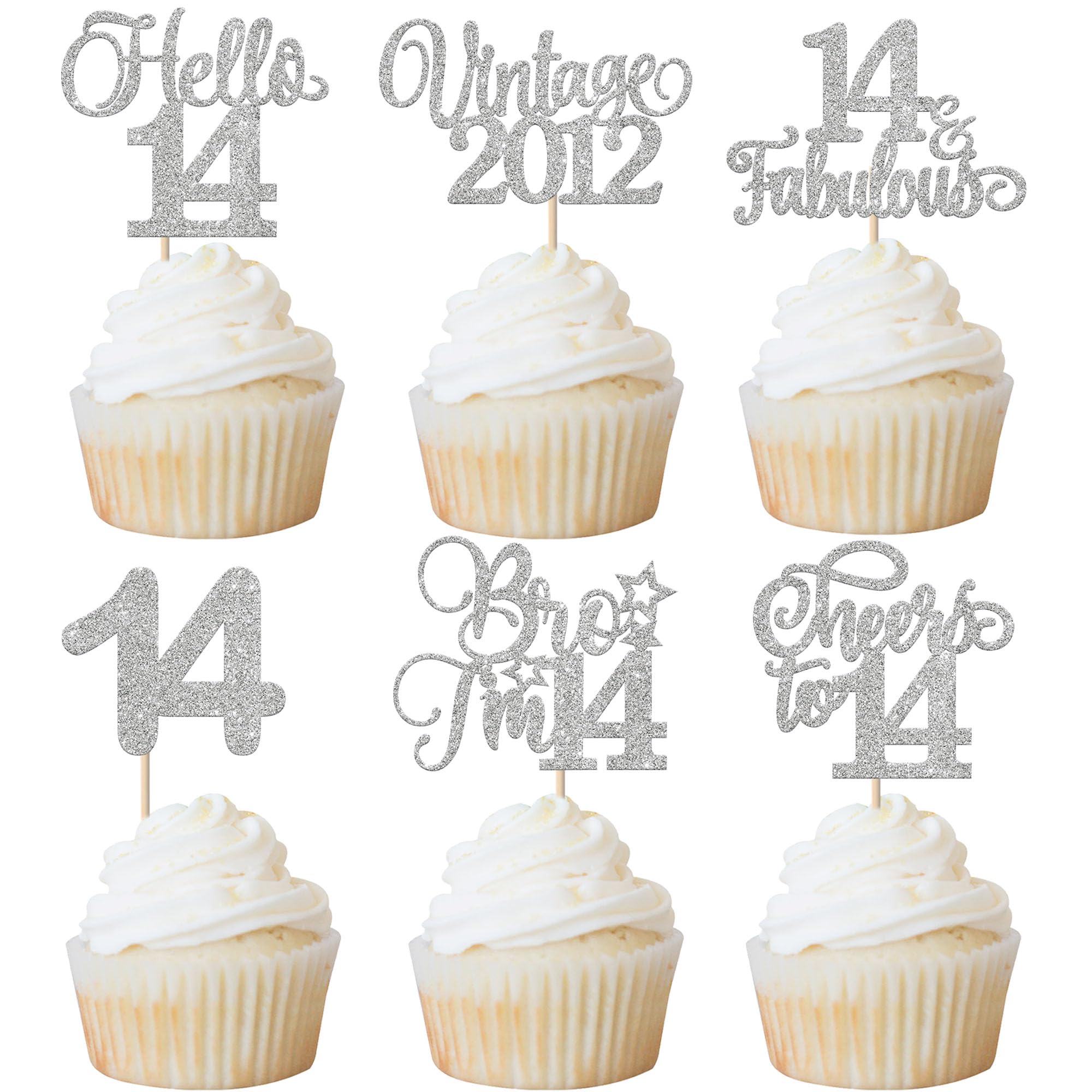 Xsstarmi 24 Pack Vintage 2012 Cupcake Toppers Glitter Silver Star Bro I'm 14 Fabulous Cupcake Picks Hello 14 Cheers to 14 Years Cake Decorations for Happy 14th Birthday Anniversary Party Supplies