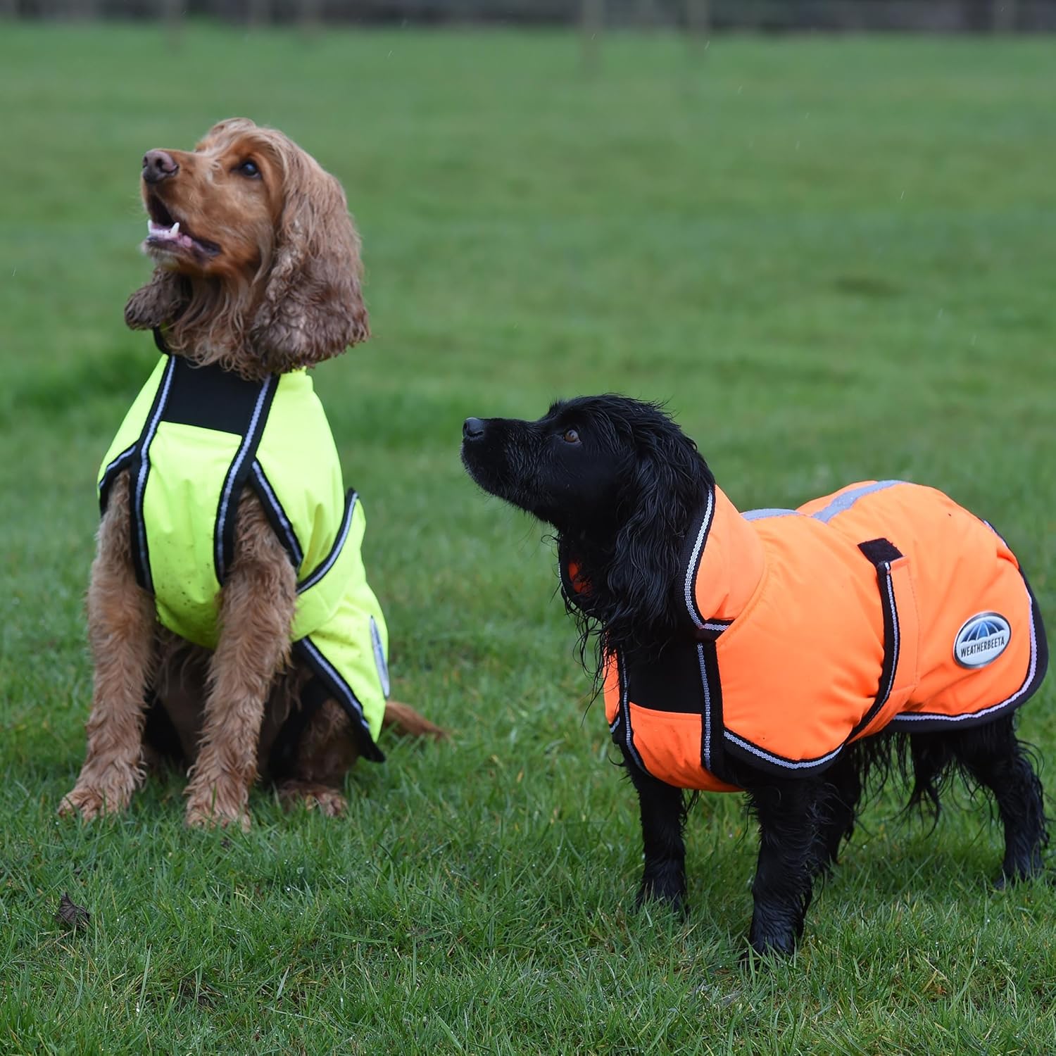 WeatherBeeta ComFiTec Reflective Parka 300D Deluxe Dog Coat, Yellow, 22"