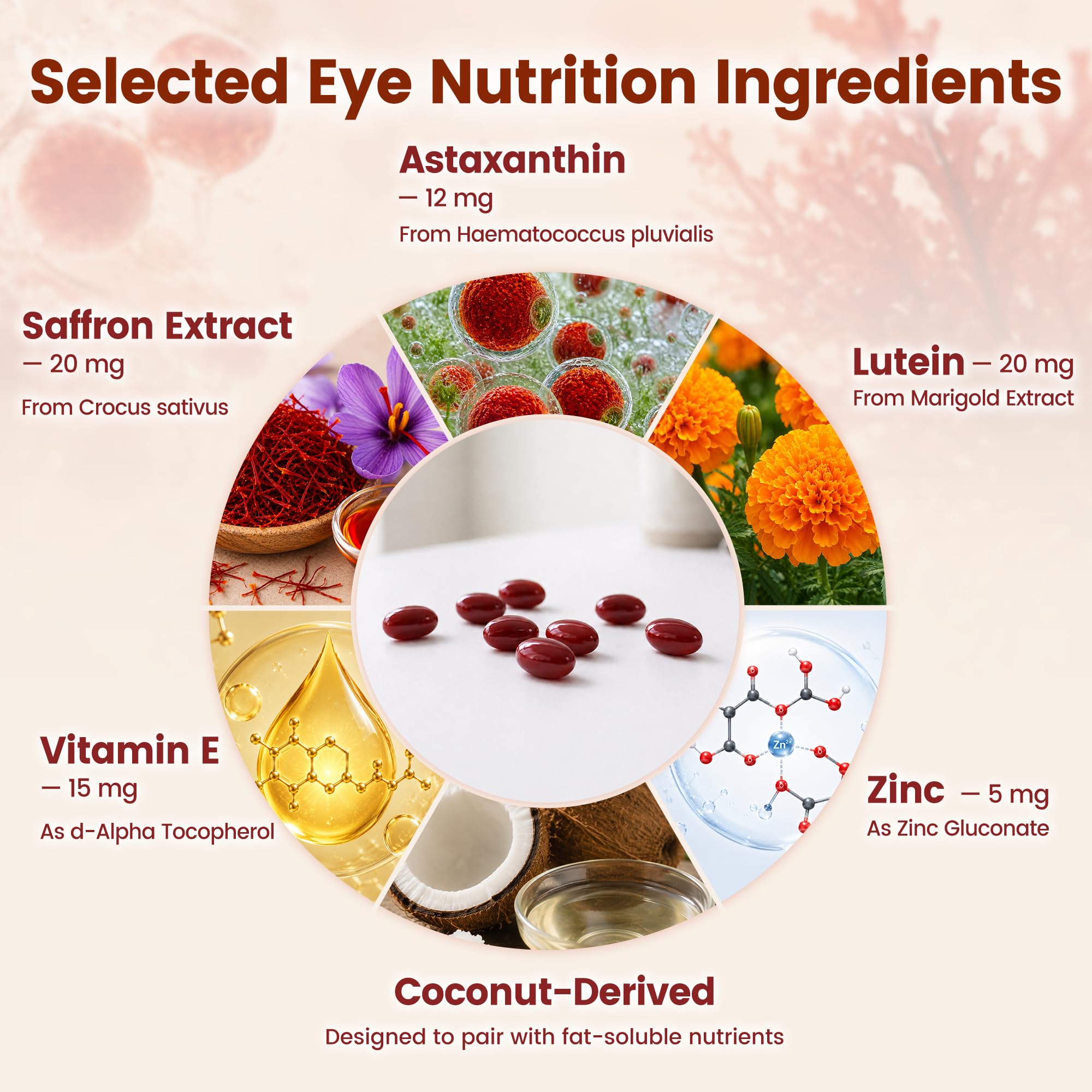 VEV Astaxanthin 12mg & Lutein 20mg Supplements with MCT Oil, 300 Softgels — Amazon image 5