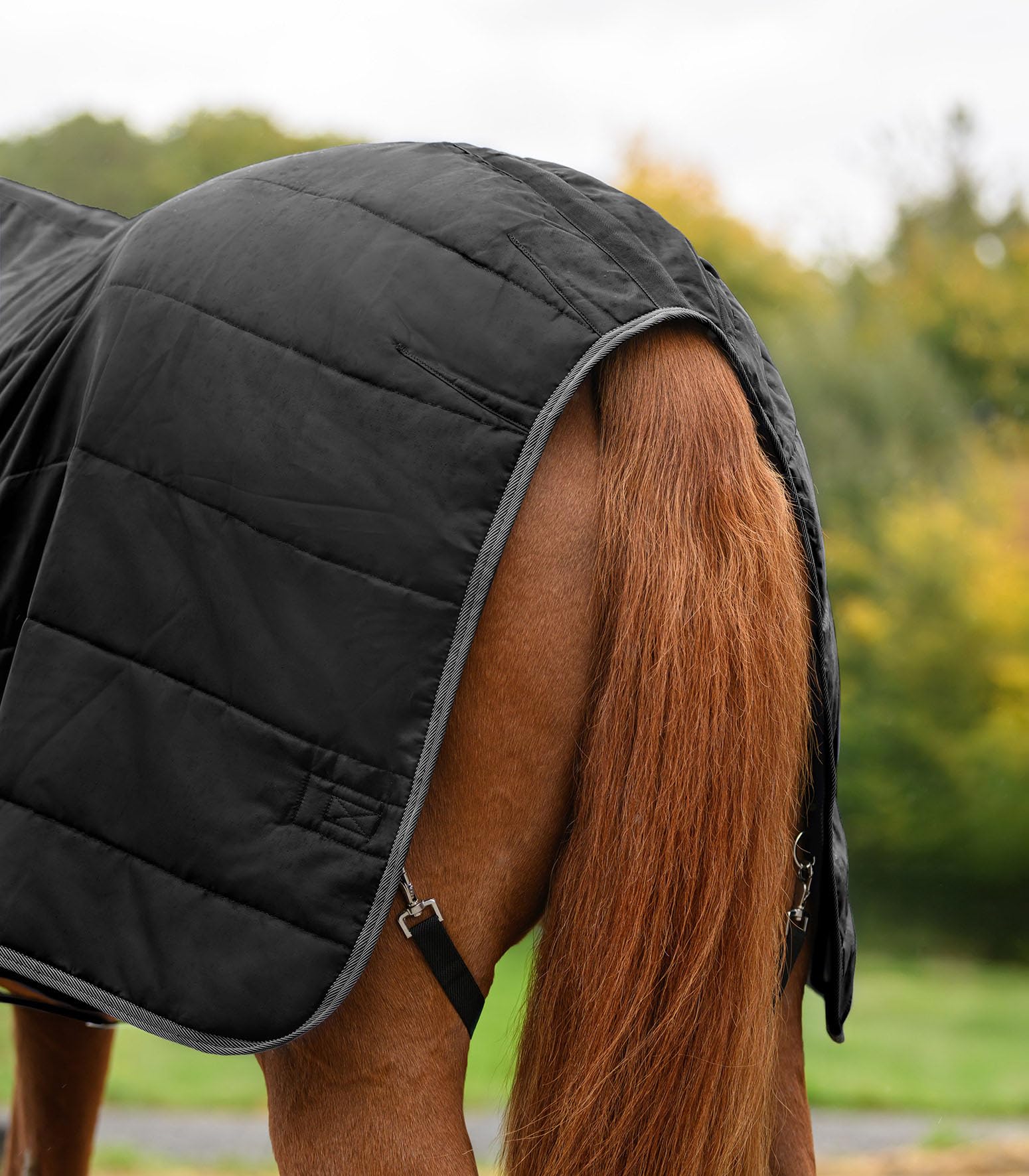 WALDHAUSEN Economic - Manta de establo (100 g, 115 cm), color negro