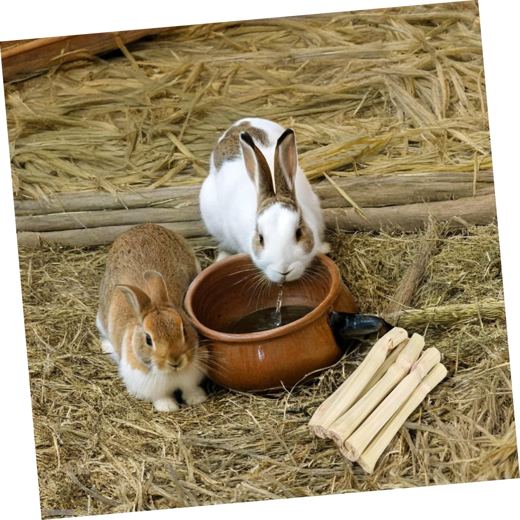 Natürliche Kauspielsticks für Kaninchen Chinchillas Hamster und Kleine Tiere Sicheres Zahnpflege Gesunder Zähne und Beschäftigung
