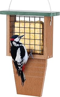 Gtongoko Recycled Plastic Suet Bird Feeder for Outside Hanging, Woodpecker Suet Feeder with Tail Prop, Hanging Suet Holder Birdfeeders, 1 Pack, Green
