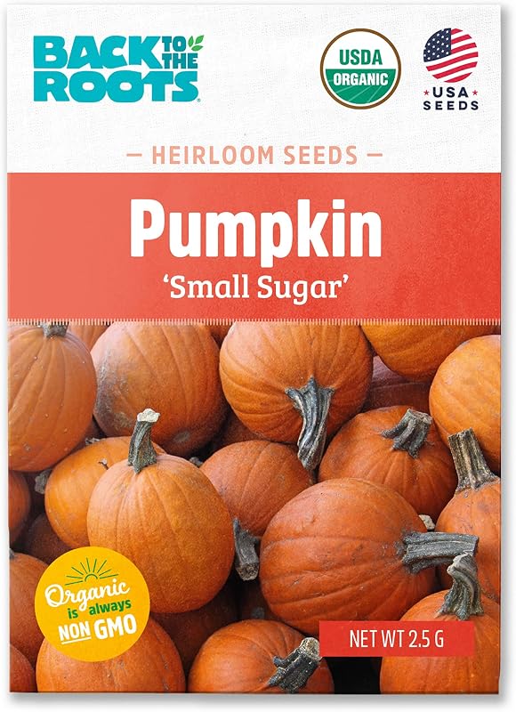 Back to The Roots 100% Organic Seed Packet - Pumpkin 'Small Sugar' 2.5g