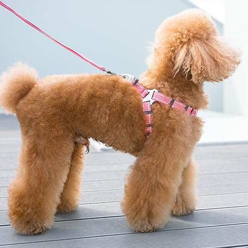 Miniatura 8 de EXCELLENT ELITE SPANKER Arnés sin tirones ajustable de nailon fácil de poner, correa para el pecho con reflectante y anillo de correa para perros de