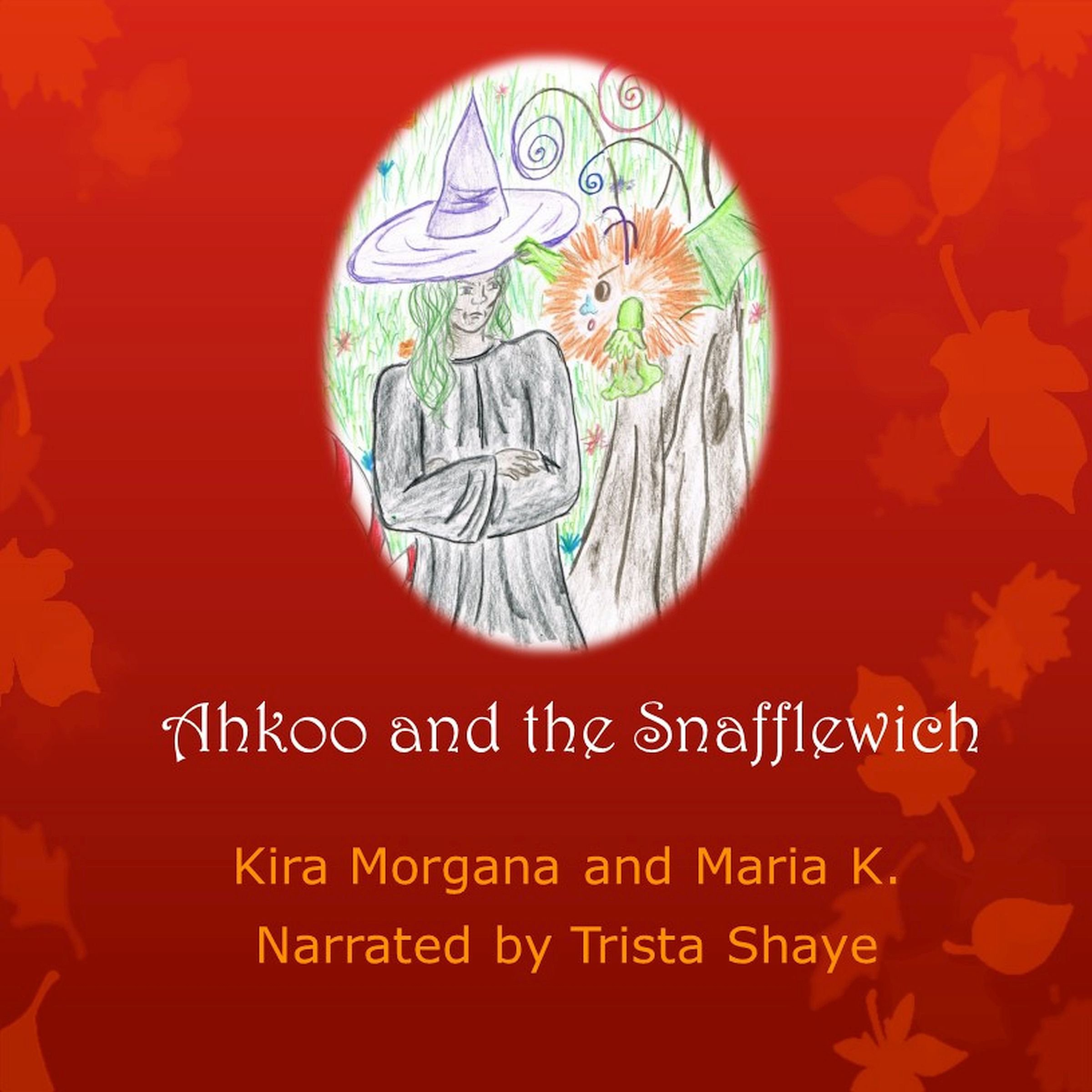 Cover art for Ahkoo and the Snafflewich