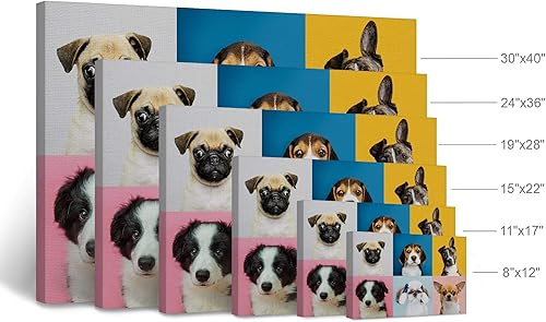 Vista 82 de Smile Art Design Border Collie Bulldog Rottweiler Cachorro Persa Gatito Animal Lienzo Impresión Arte de Pared Pet Cat Dog Lover Sala Dormitorio