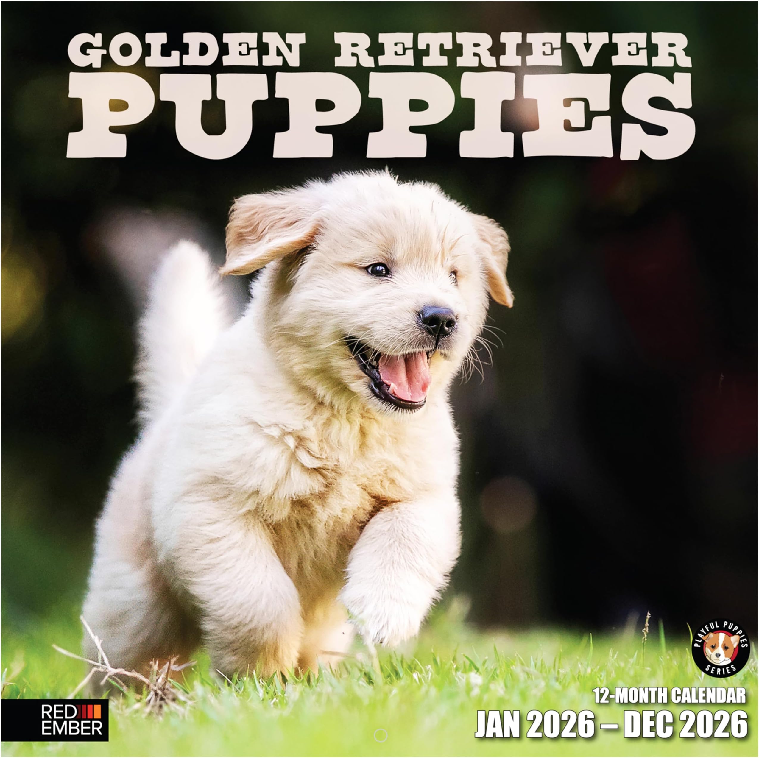 RED EMBER Golden Retriever Puppies 2026 Wall Calendar 12 Month | 12" x 24" Open | Thick & Sturdy Paper | Giftable | Cute Puppy Dog Calendar 2026